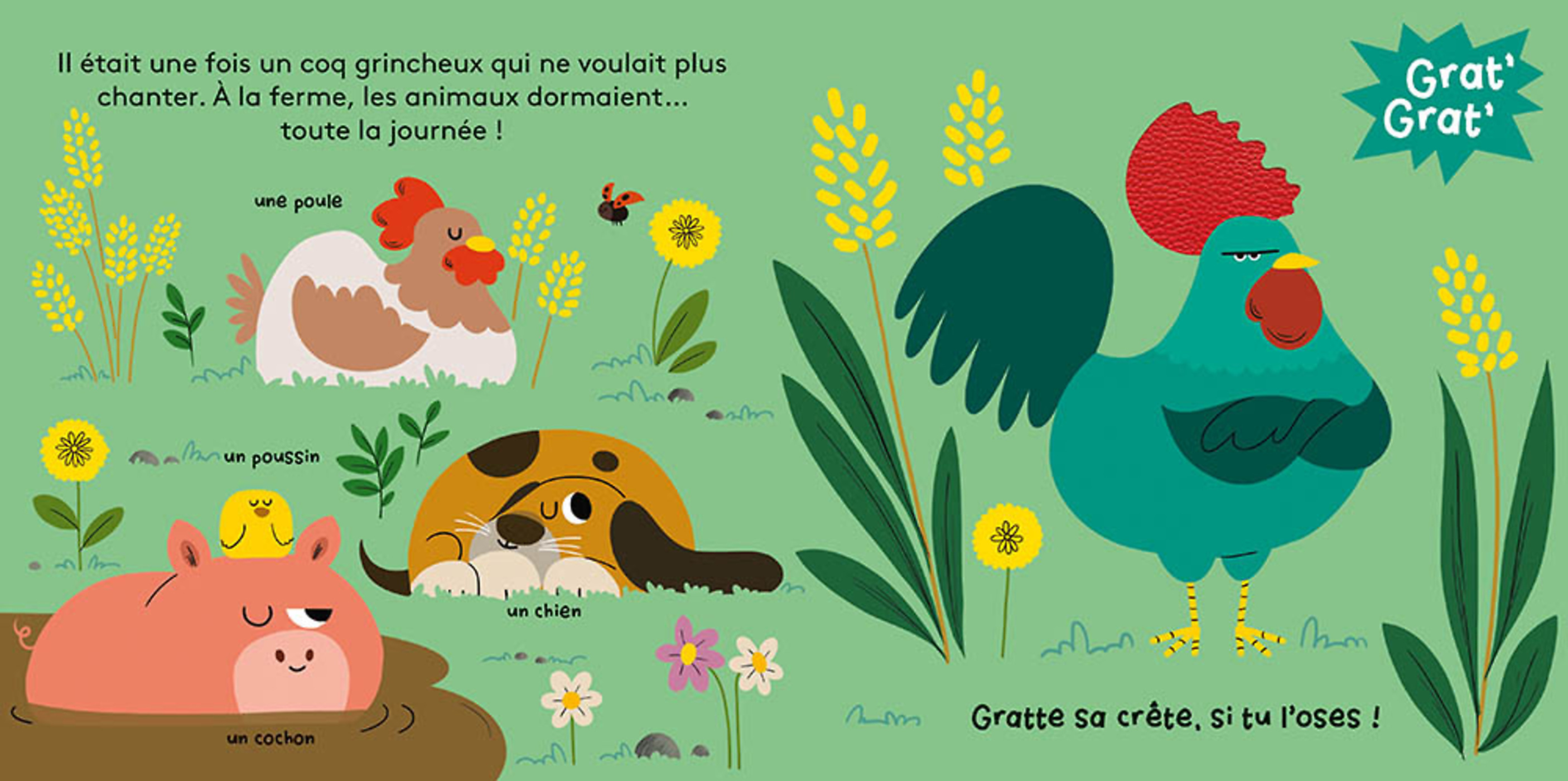 Grat Grat - La Fête À La Ferme !