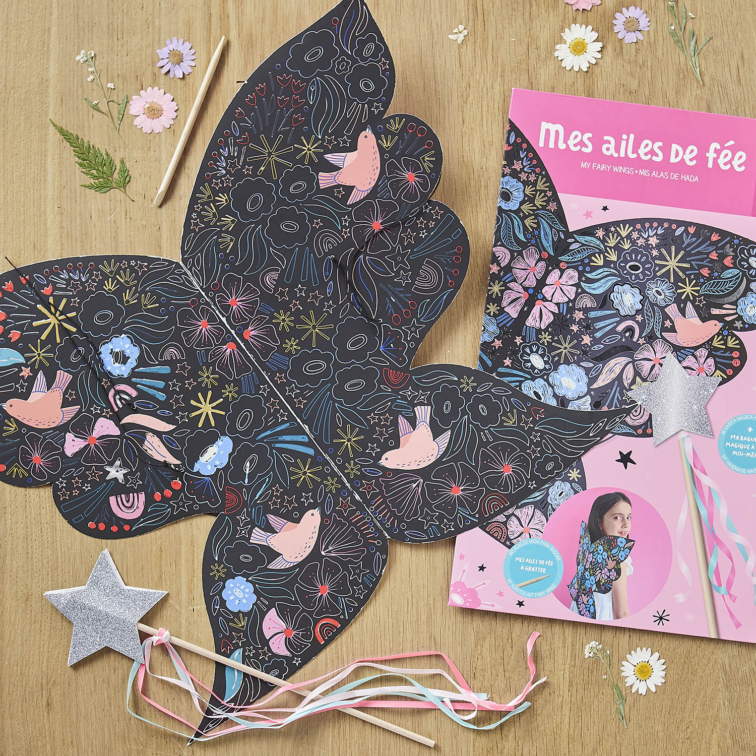 Ma Pochette D'artiste - Mes Ailes De Fée