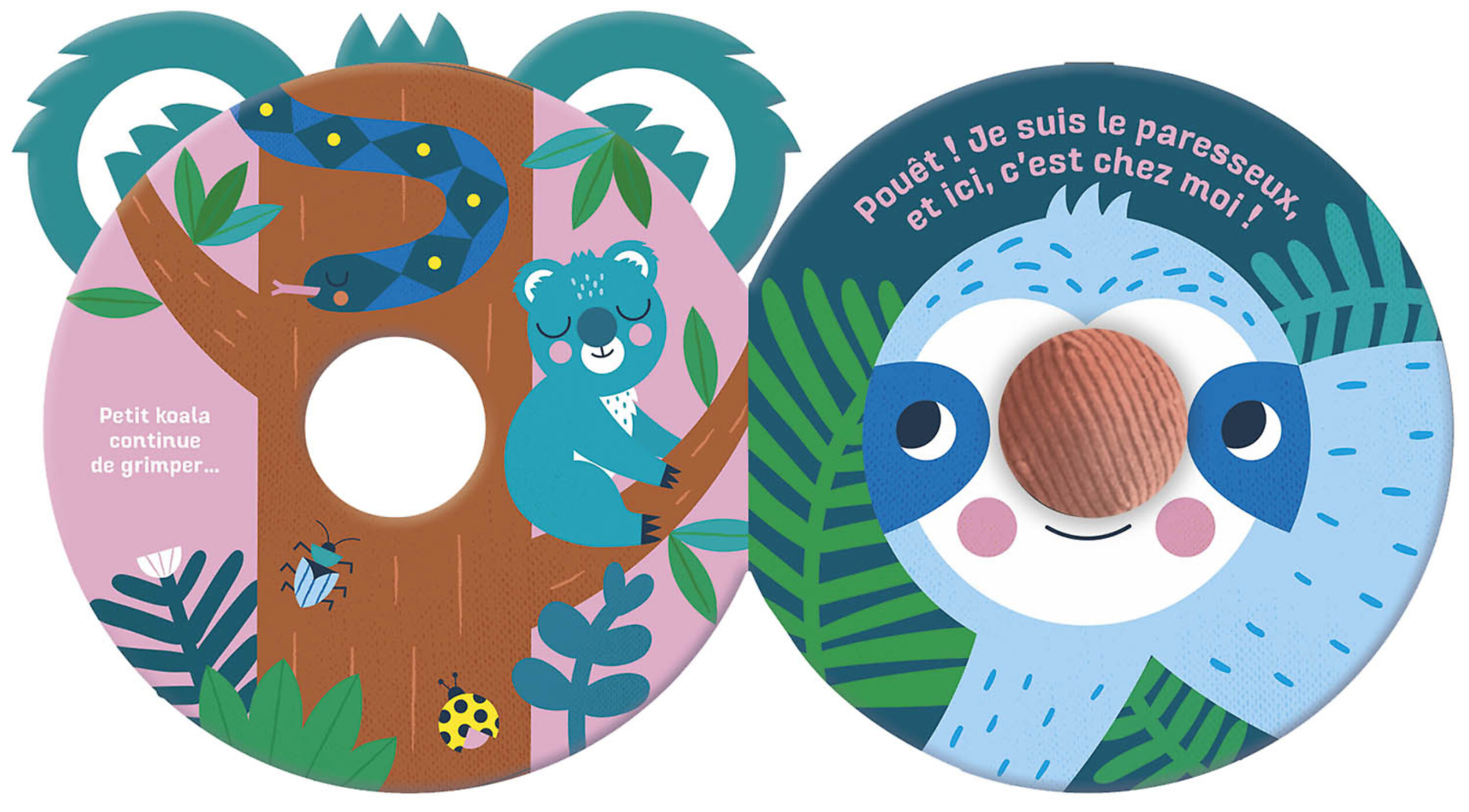 Petit Koala Retrouve Sa Maison