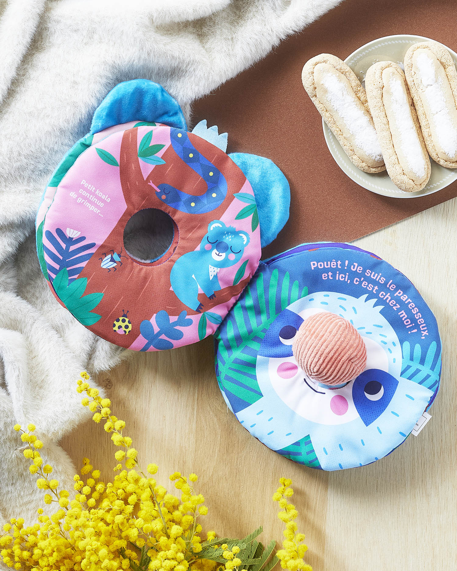 Petit Koala Retrouve Sa Maison