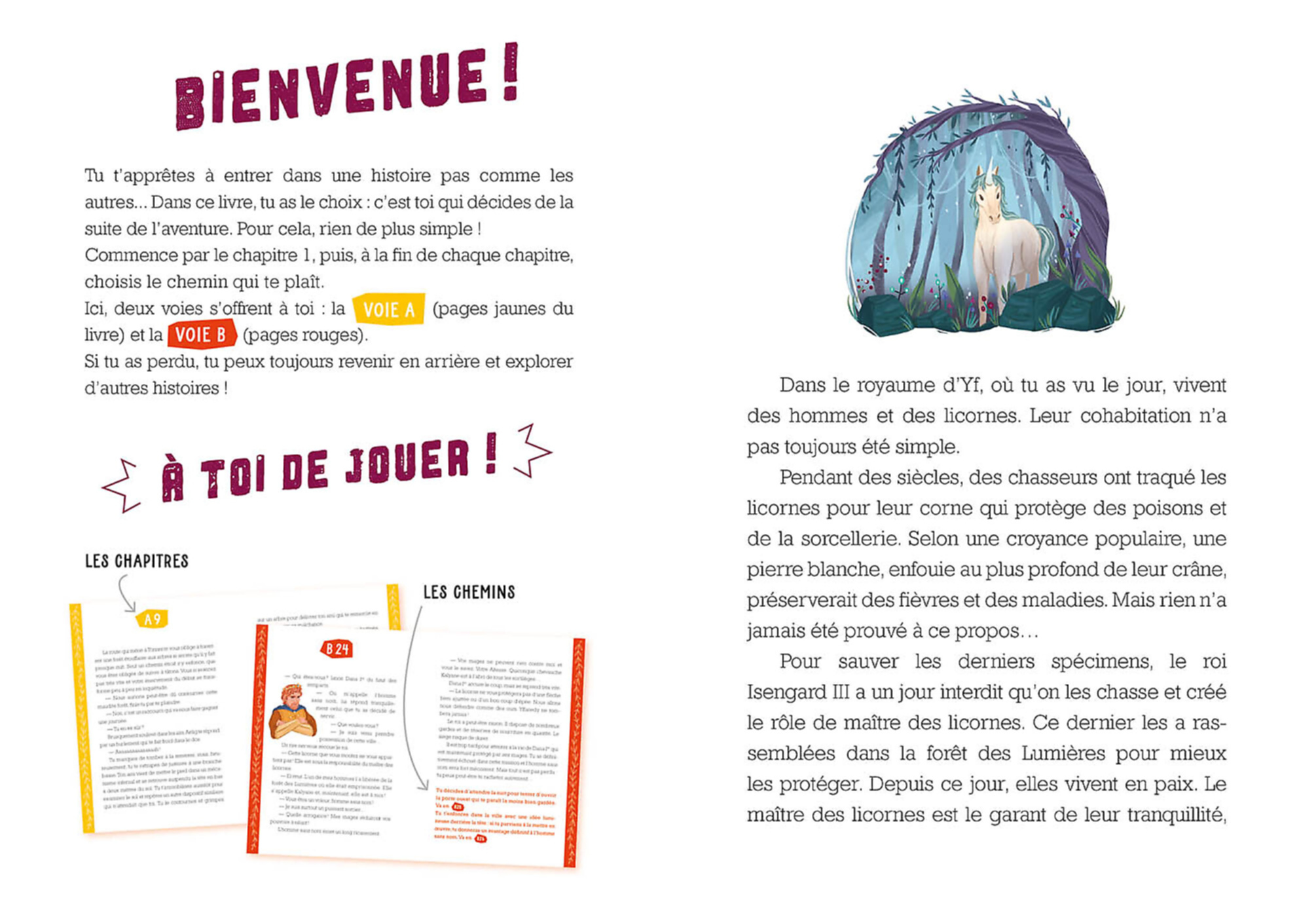 Deviens Le Héros - Le Maître Des Licornes Deviens Le Héros - Le Maître Des Licornes