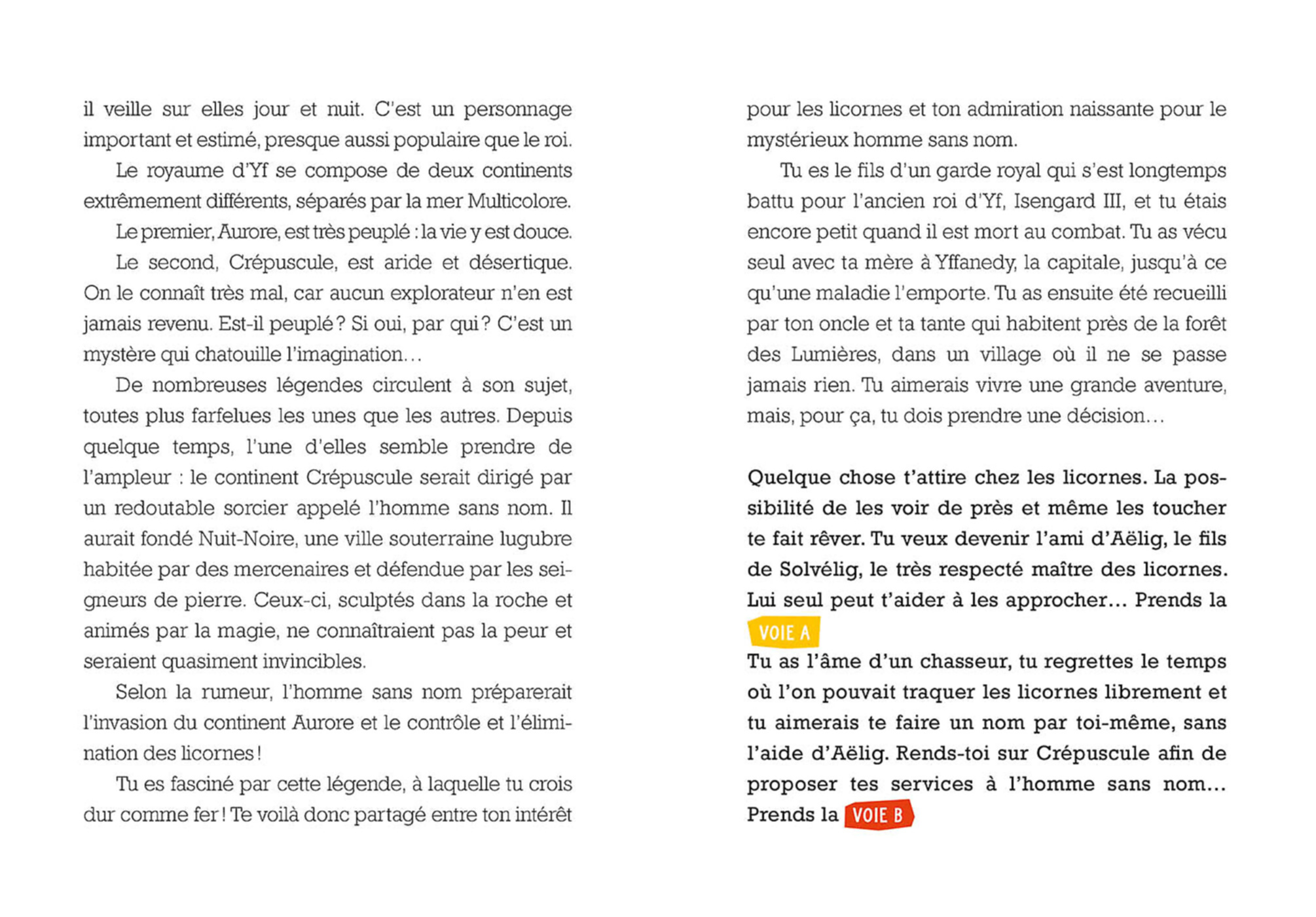 Deviens Le Héros - Le Maître Des Licornes