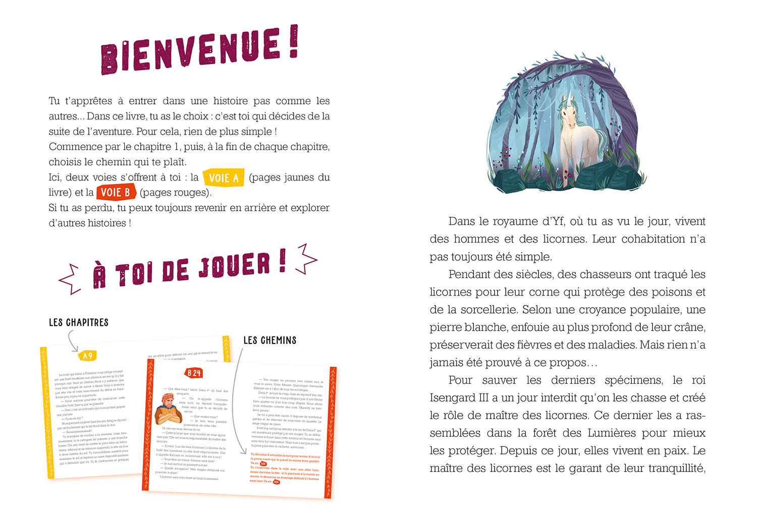 Deviens Le Héros - Le Maître Des Licornes