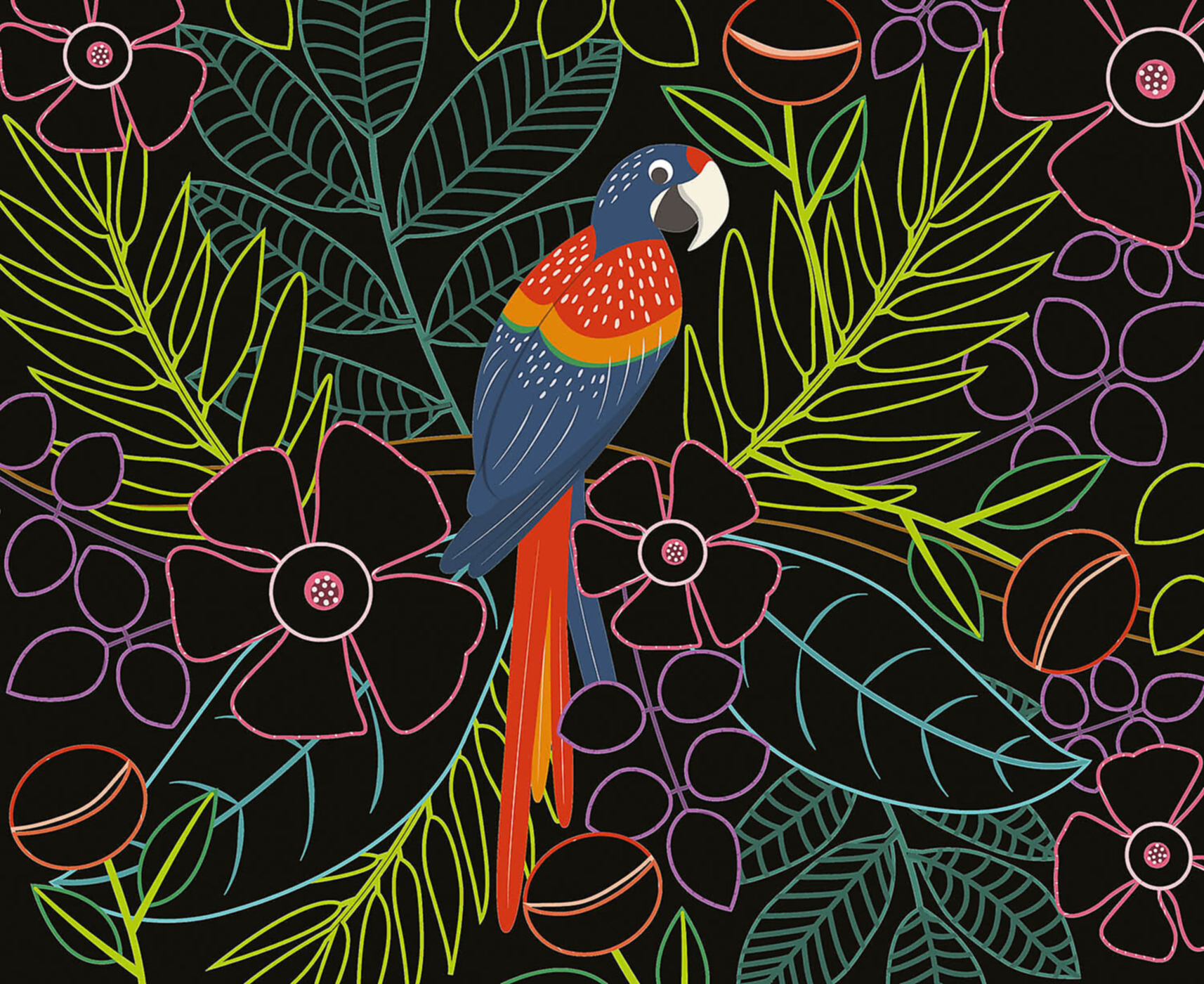 Ma Pochette D'artiste - Mes Cartes À Gratter - Oiseaux Fantastiques Ne