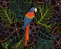 Ma Pochette D'artiste - Mes Cartes À Gratter - Oiseaux Fantastiques Ne Ma Pochette D'artiste - Mes Cartes À Gratter - Oiseaux Fantastiques Ne