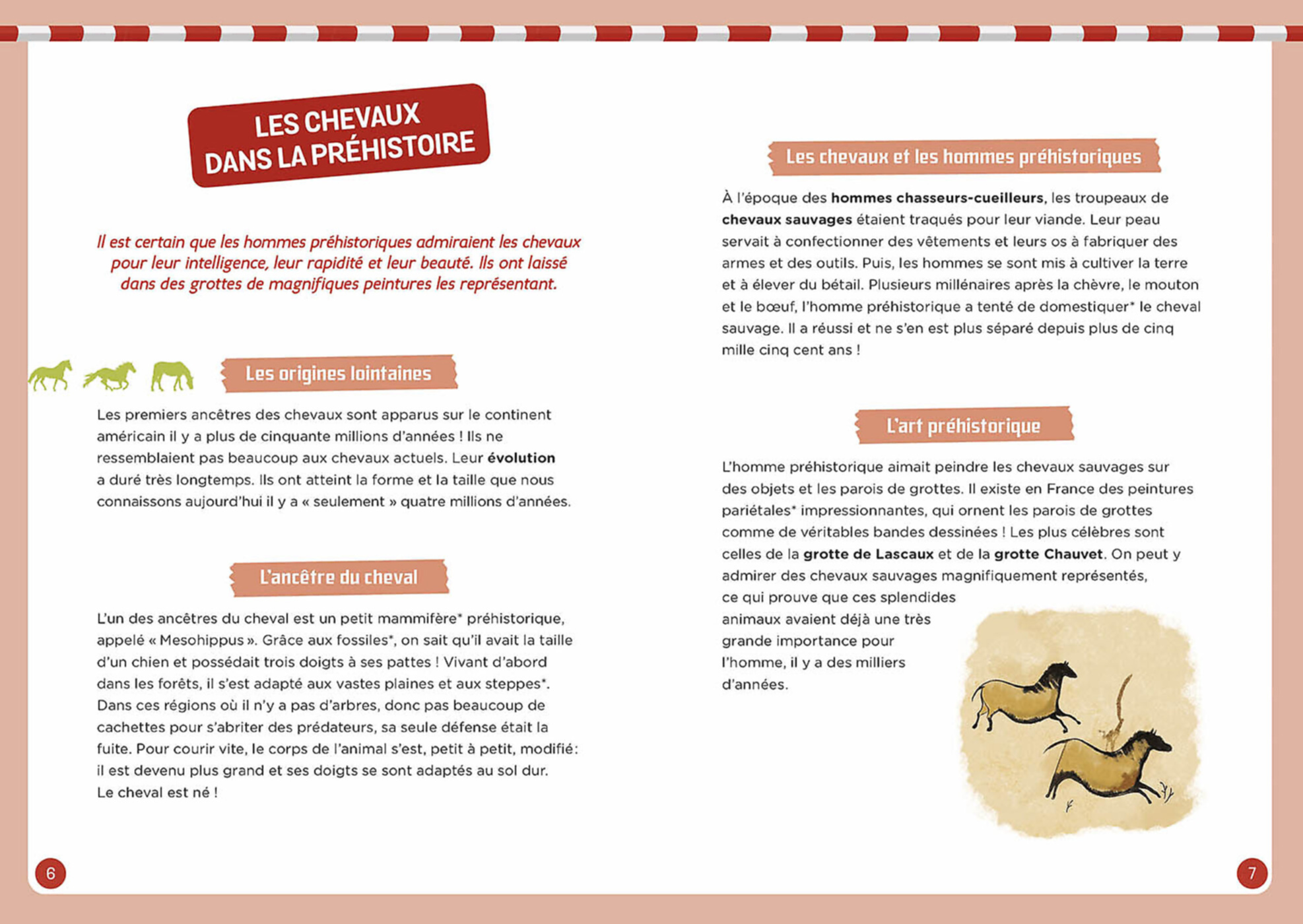 À La Découverte Des Chevaux