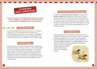 À La Découverte Des Chevaux À La Découverte Des Chevaux