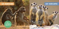 Mon Premier Doc Photo  - Les Animaux De La Savane