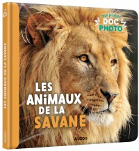 Mon premier doc photo  - Les animaux de la savane