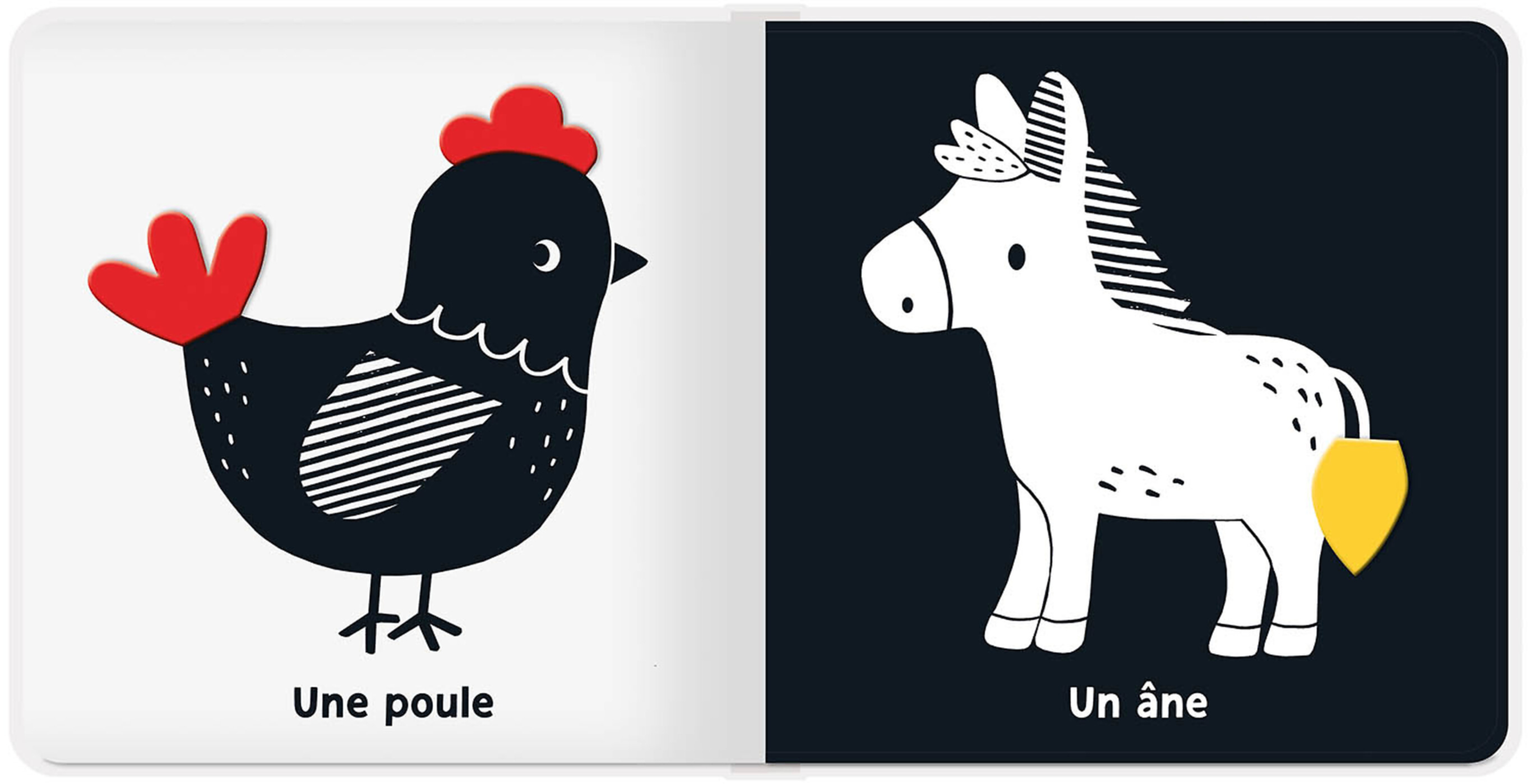 Mes Premiers Flaps - La Ferme