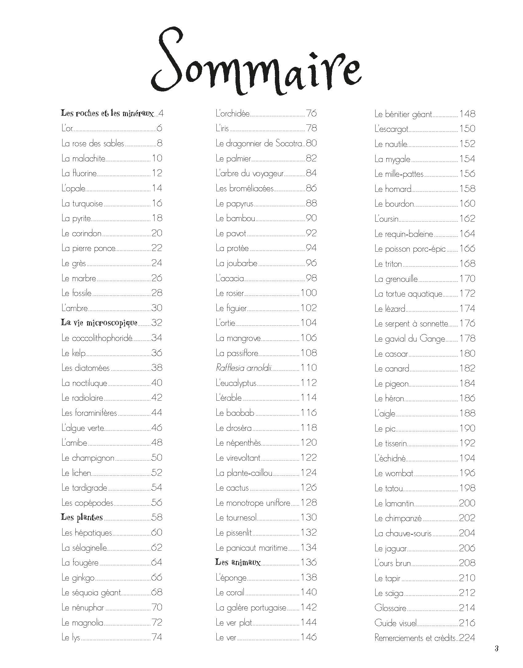 L'anthologie Insolite Des Trésors De La Nature : Roches, Nids, Plumes Et Autres Merveille S