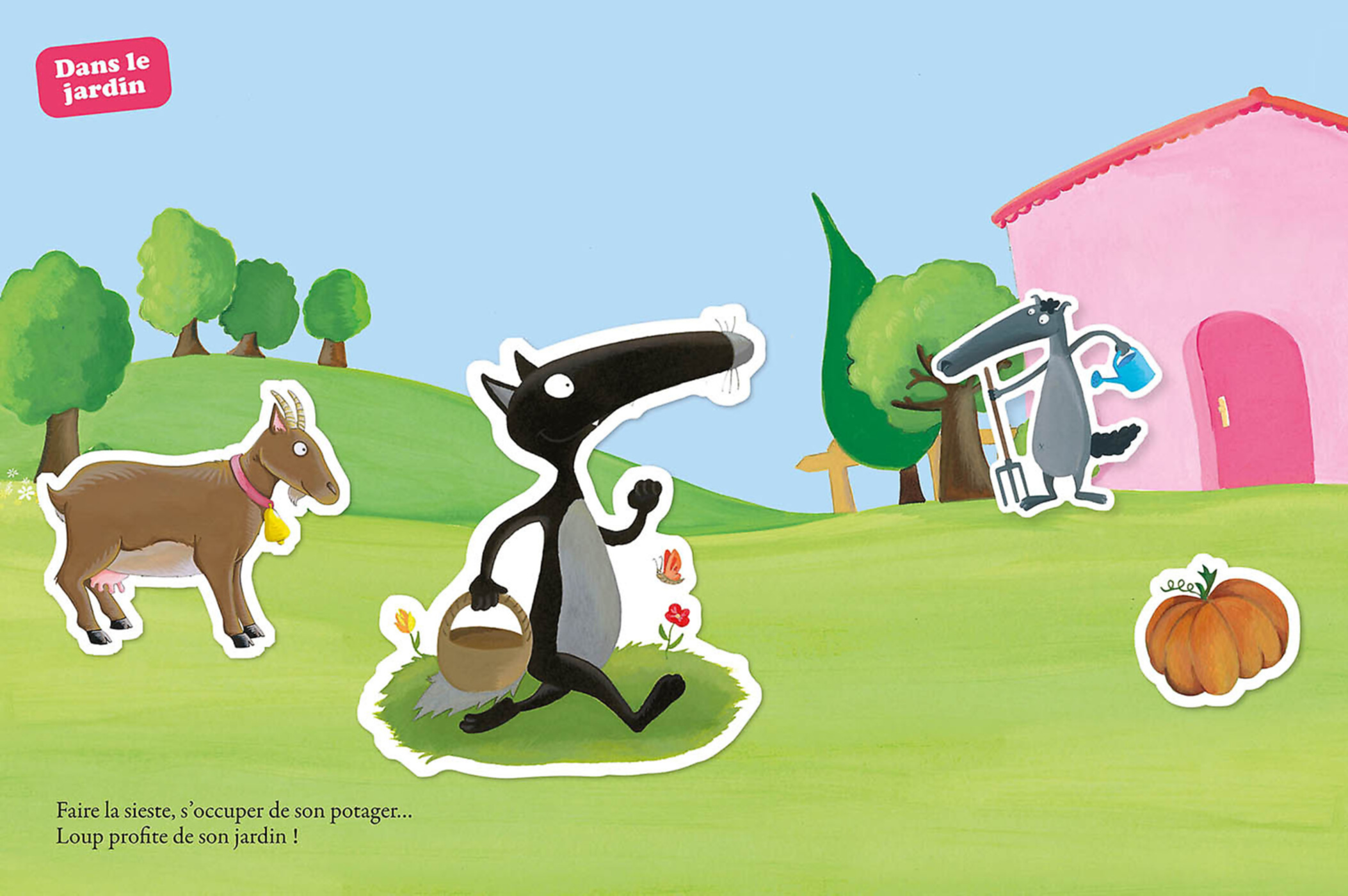 Loup - En Pleine Nature
