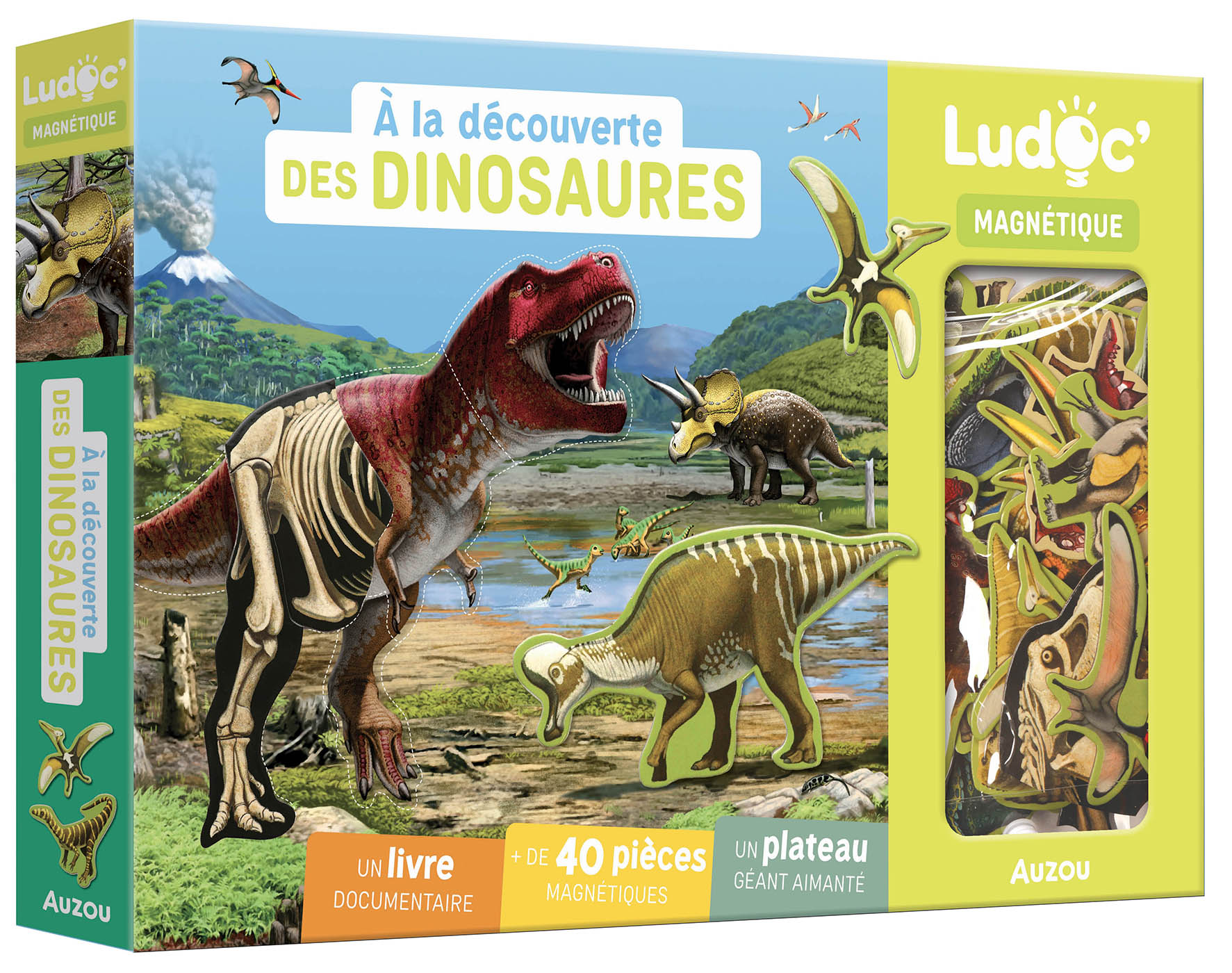 A La Découverte Des Dinosaures
