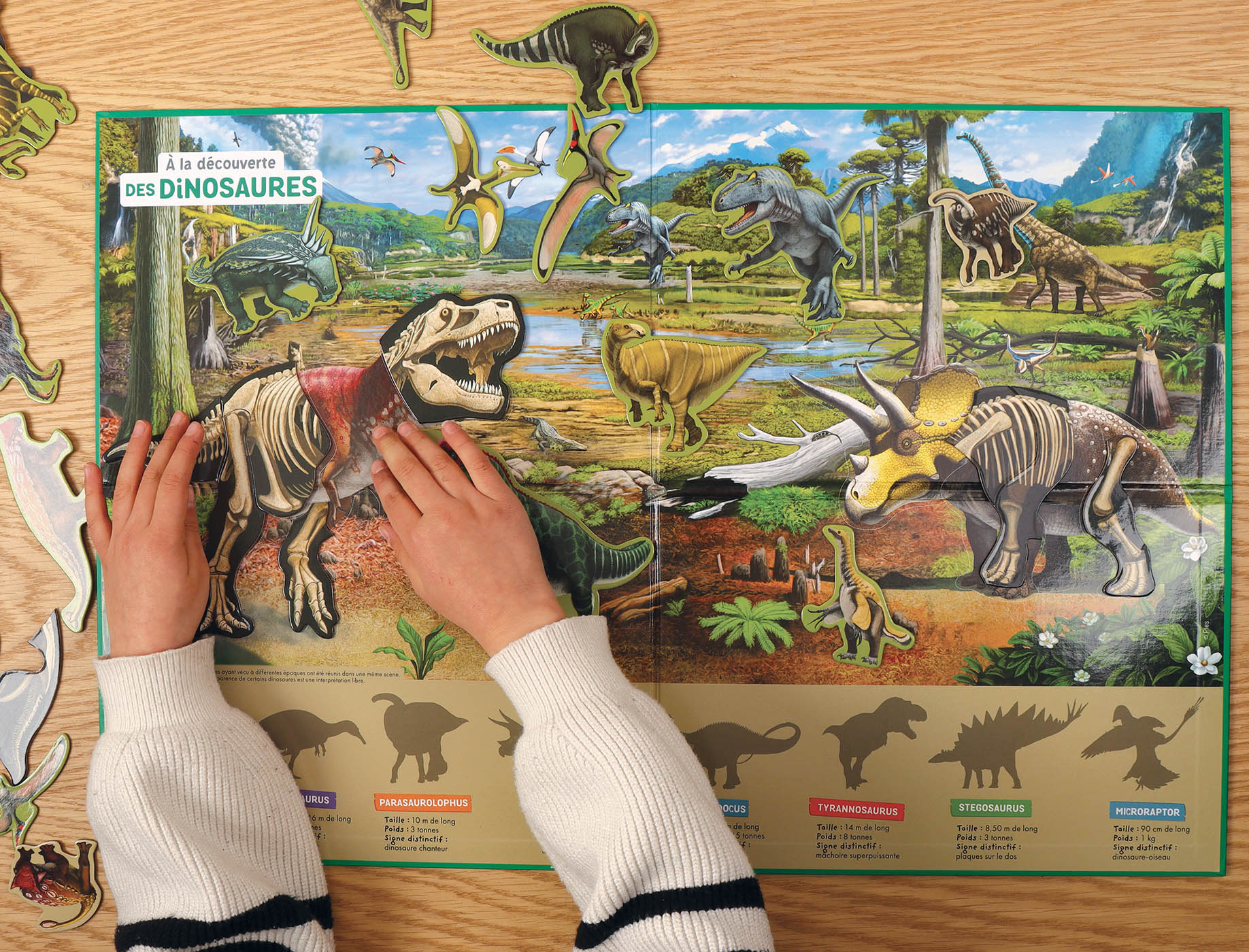 A La Découverte Des Dinosaures