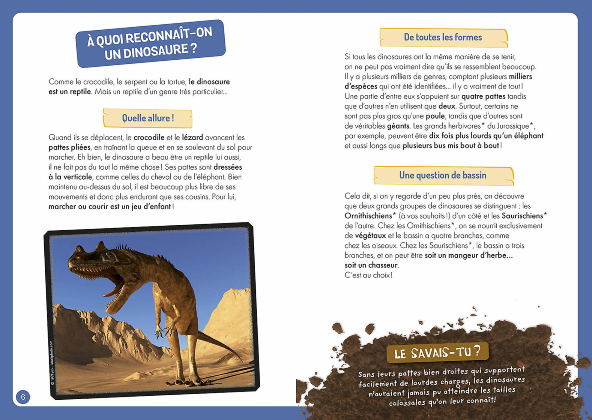 A La Découverte Des Dinosaures A La Découverte Des Dinosaures