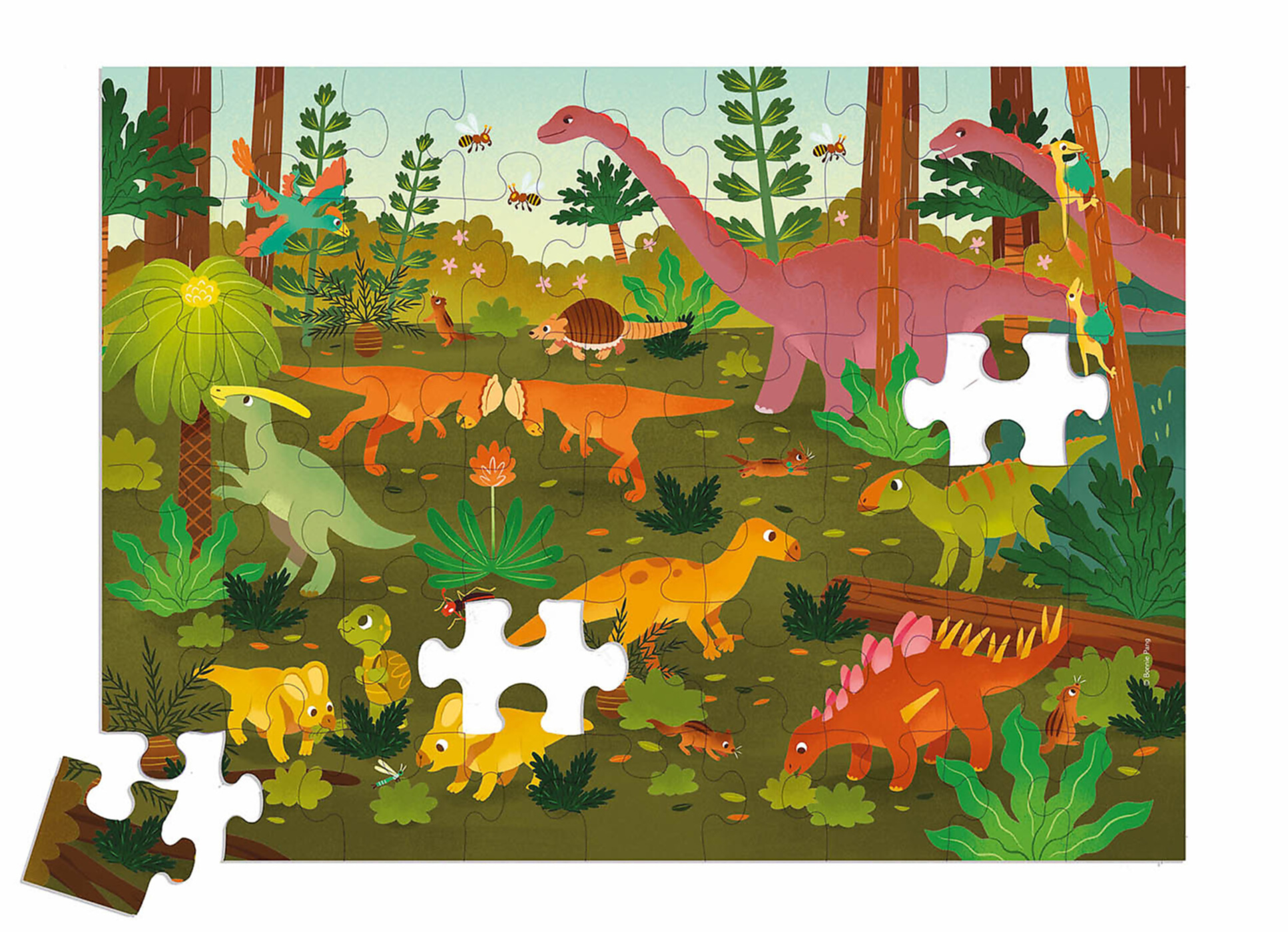 Mes Puzzles Dinosaures Mes Puzzles Dinosaures