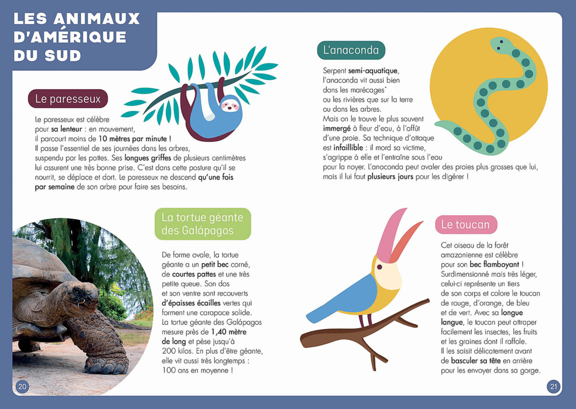 Atlas : Un Puzzle - Un Livre - Un Poster