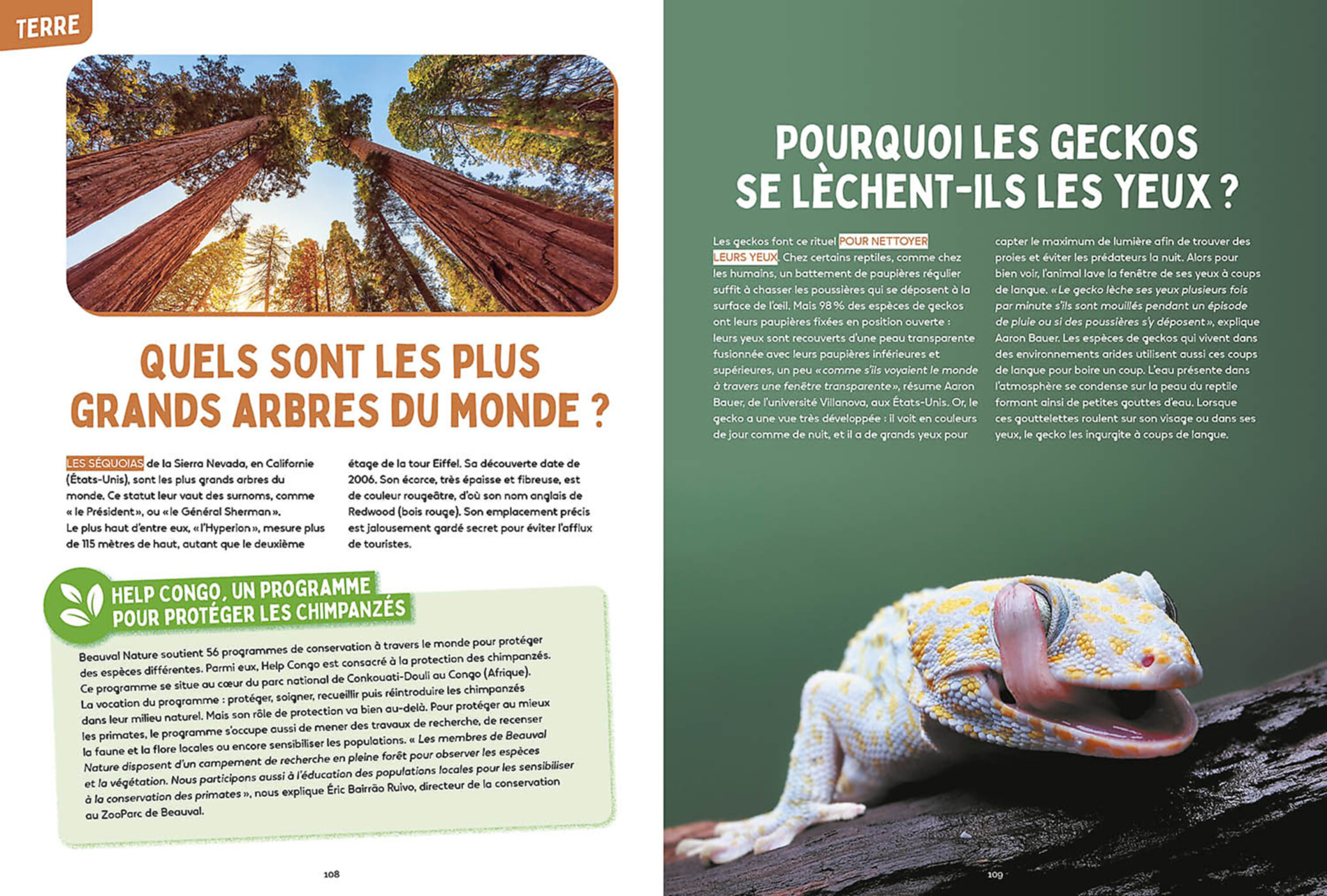 Les Mystères De La Nature - Science & Vie Junior Les Mystères De La Nature - Science & Vie Junior