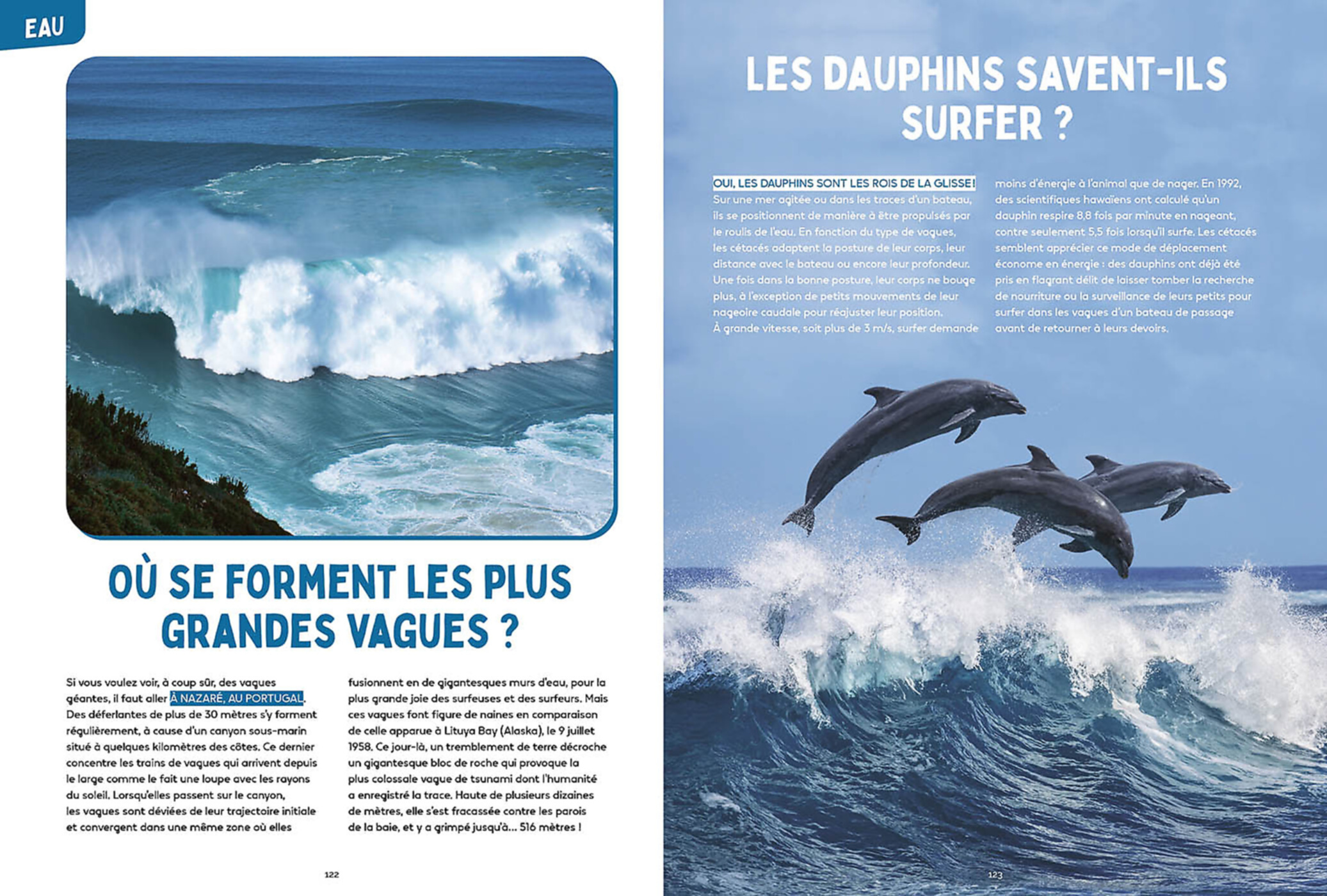 Les Mystères De La Nature - Science & Vie Junior