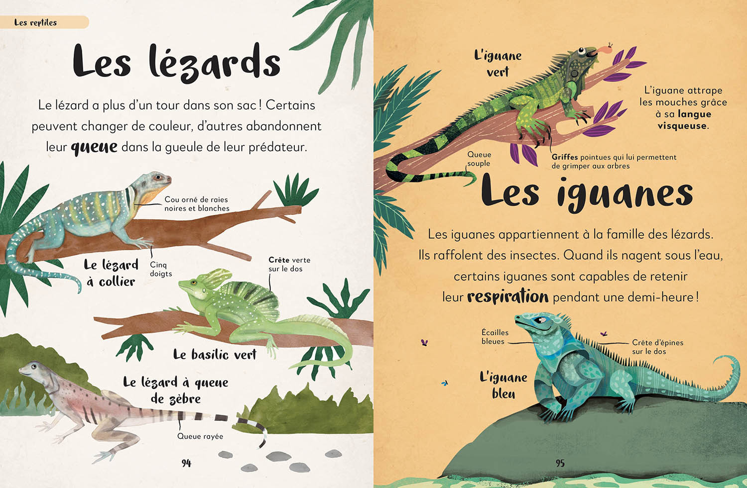 Ma Première Anthologie Des Animaux