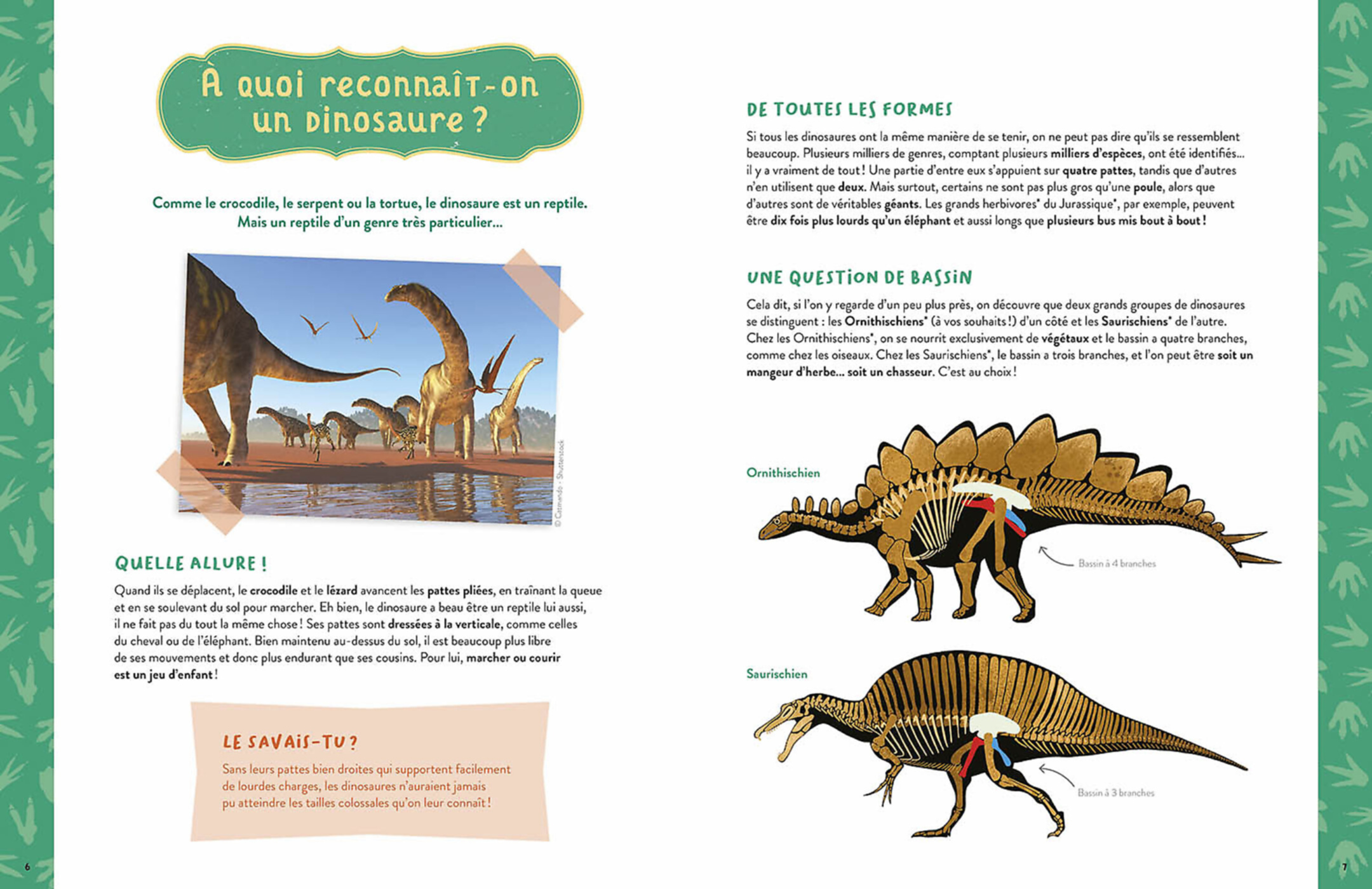 Mon Coffret D'artiste - Mes Dinosaures À Construire