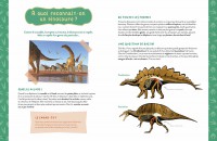 Mon Coffret D'artiste - Mes Dinosaures À Construire