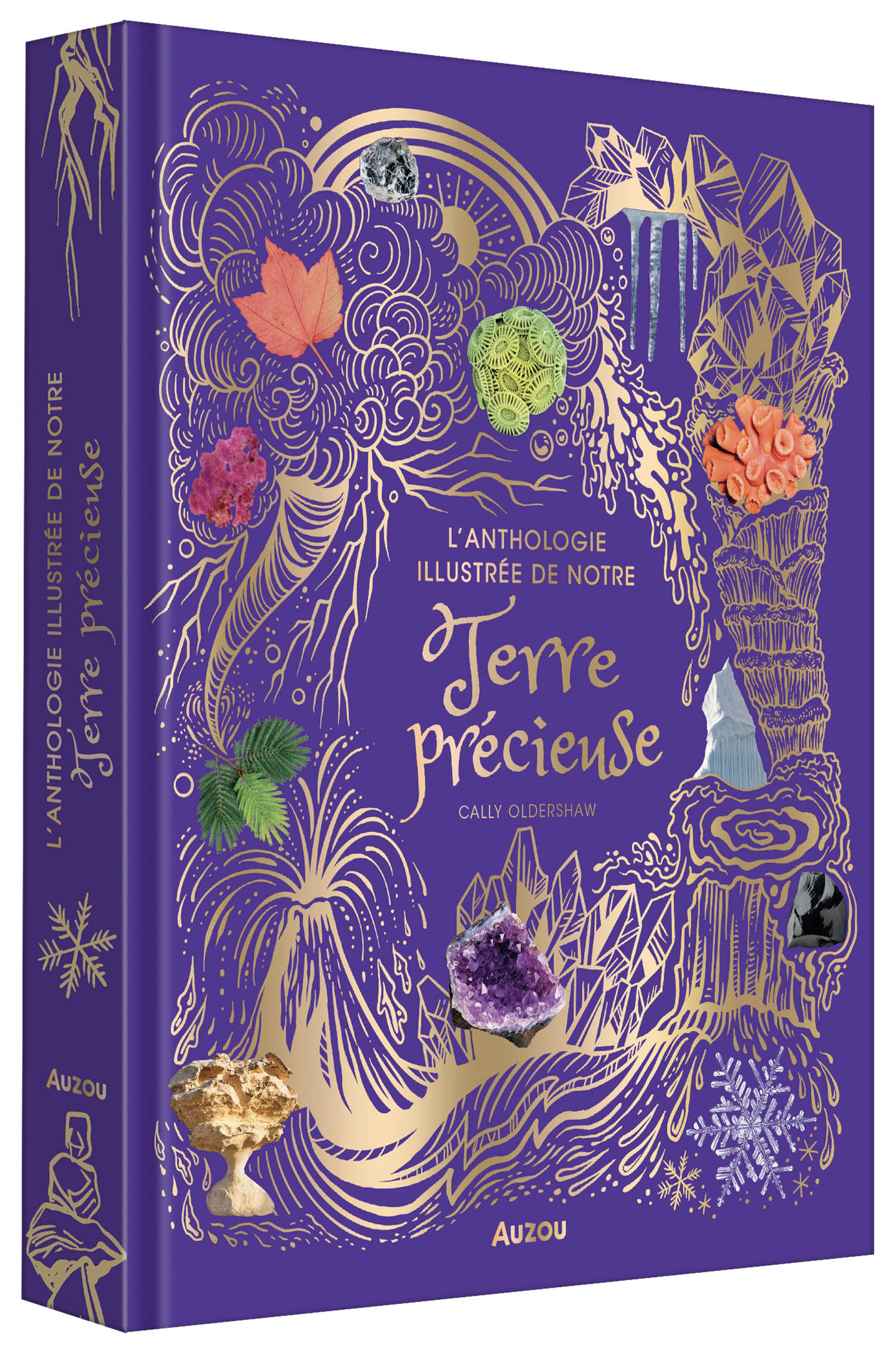 L'anthologie Illustrée De Notre Terre Précieuse