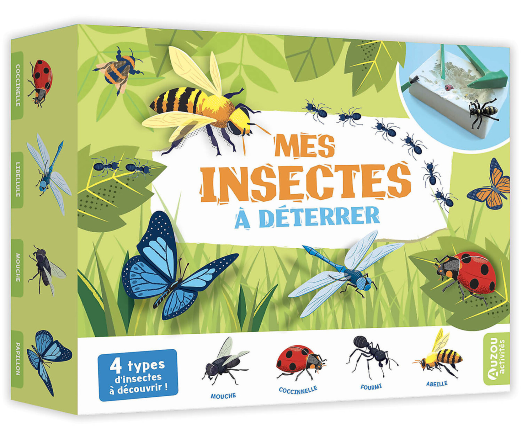 Mes Insectes À Déterrer