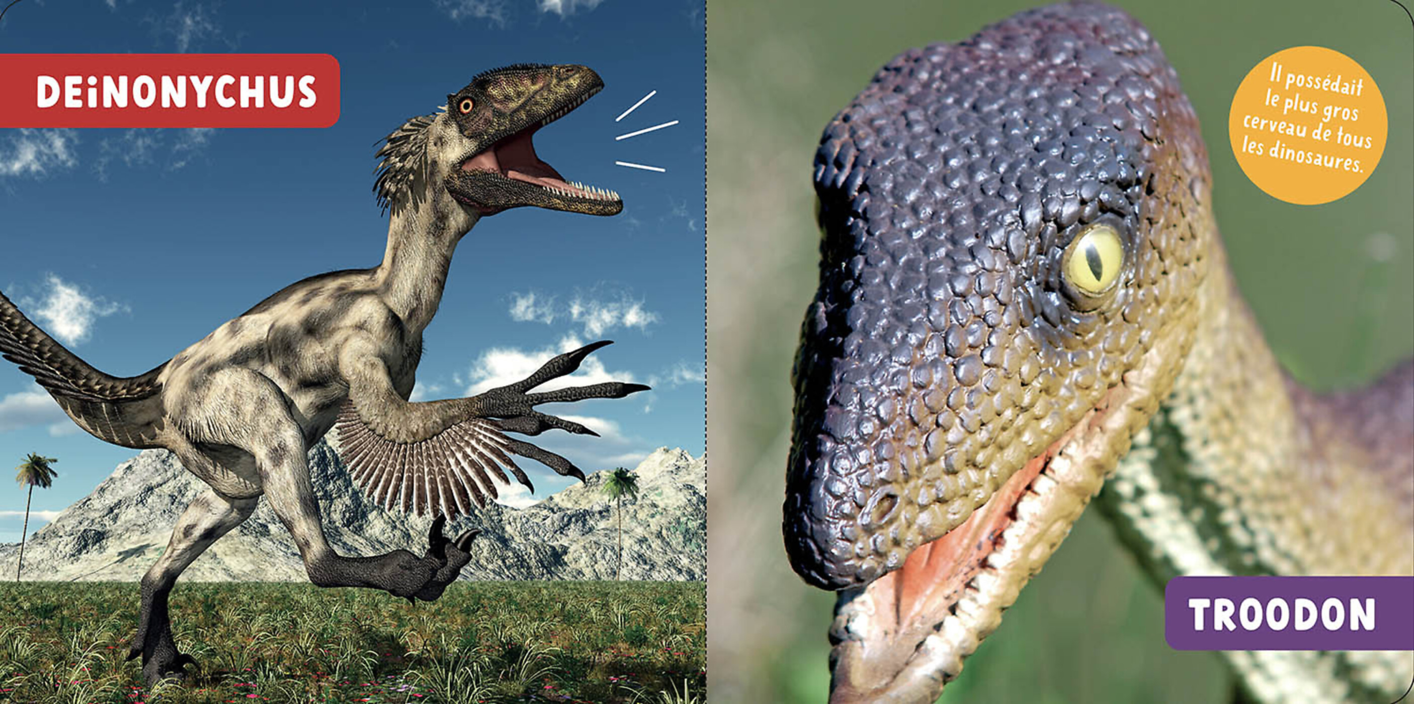 Mon Premier Doc Photo  - Les Dinosaures