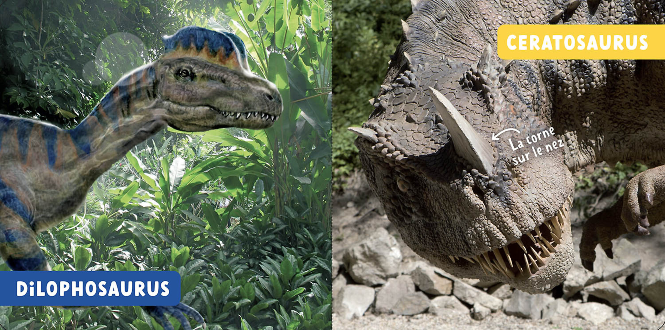 Mon Premier Doc Photo - Les Dinosaures Mon Premier Doc Photo - Les Dinosaures