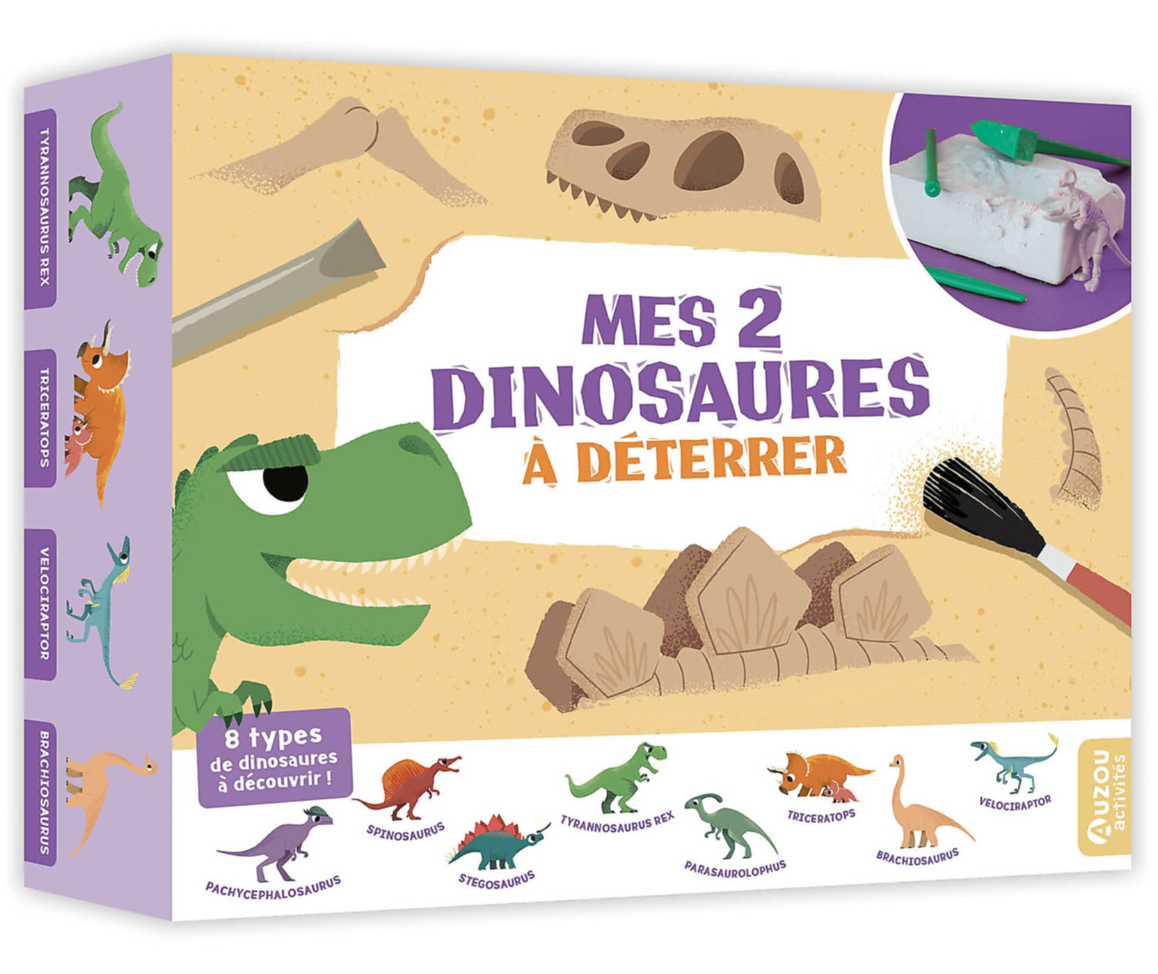 Mes 2 Dinosaures À Déterrer Mes 2 Dinosaures À Déterrer
