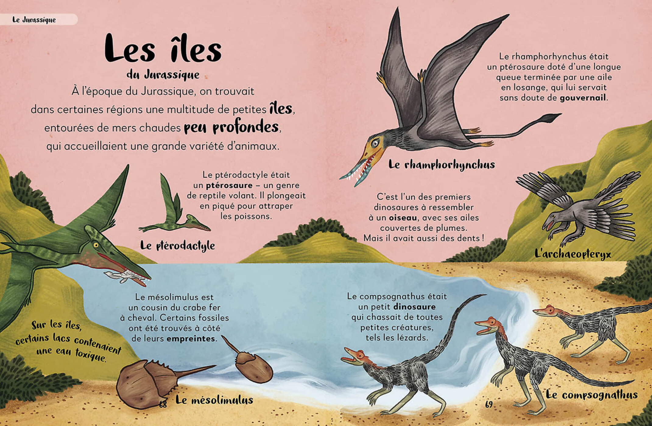 Ma Première Anthologie Des Dinosaures