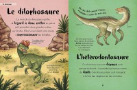 Ma Première Anthologie Des Dinosaures