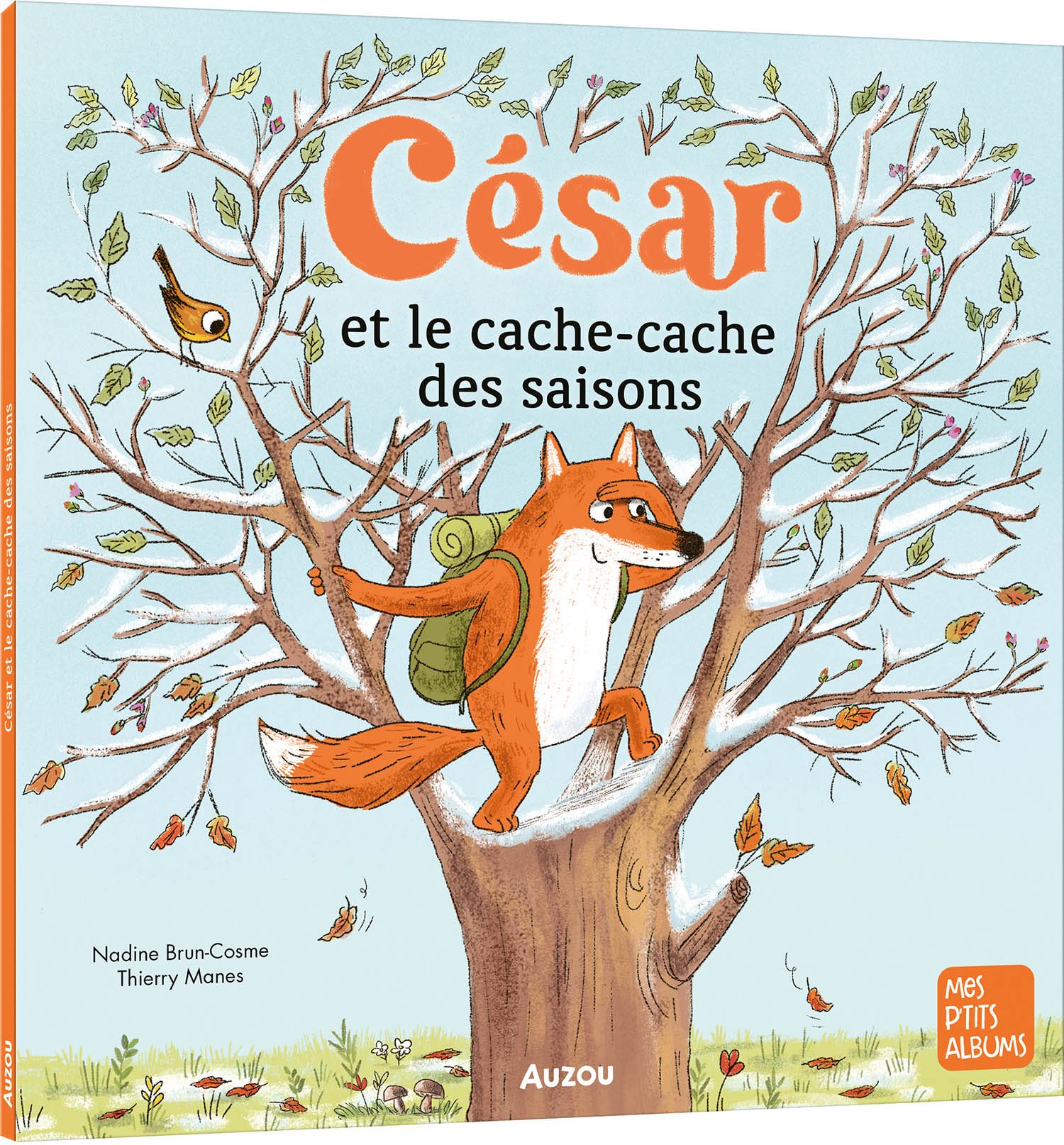 César Et Le Cache-Cache Des Saisons