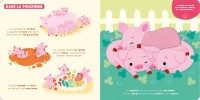 P'tit Touche À Tout - La Ferme P'tit Touche À Tout - La Ferme