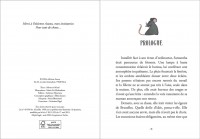 Mystère En Belgique - L'ombre Des Égouts