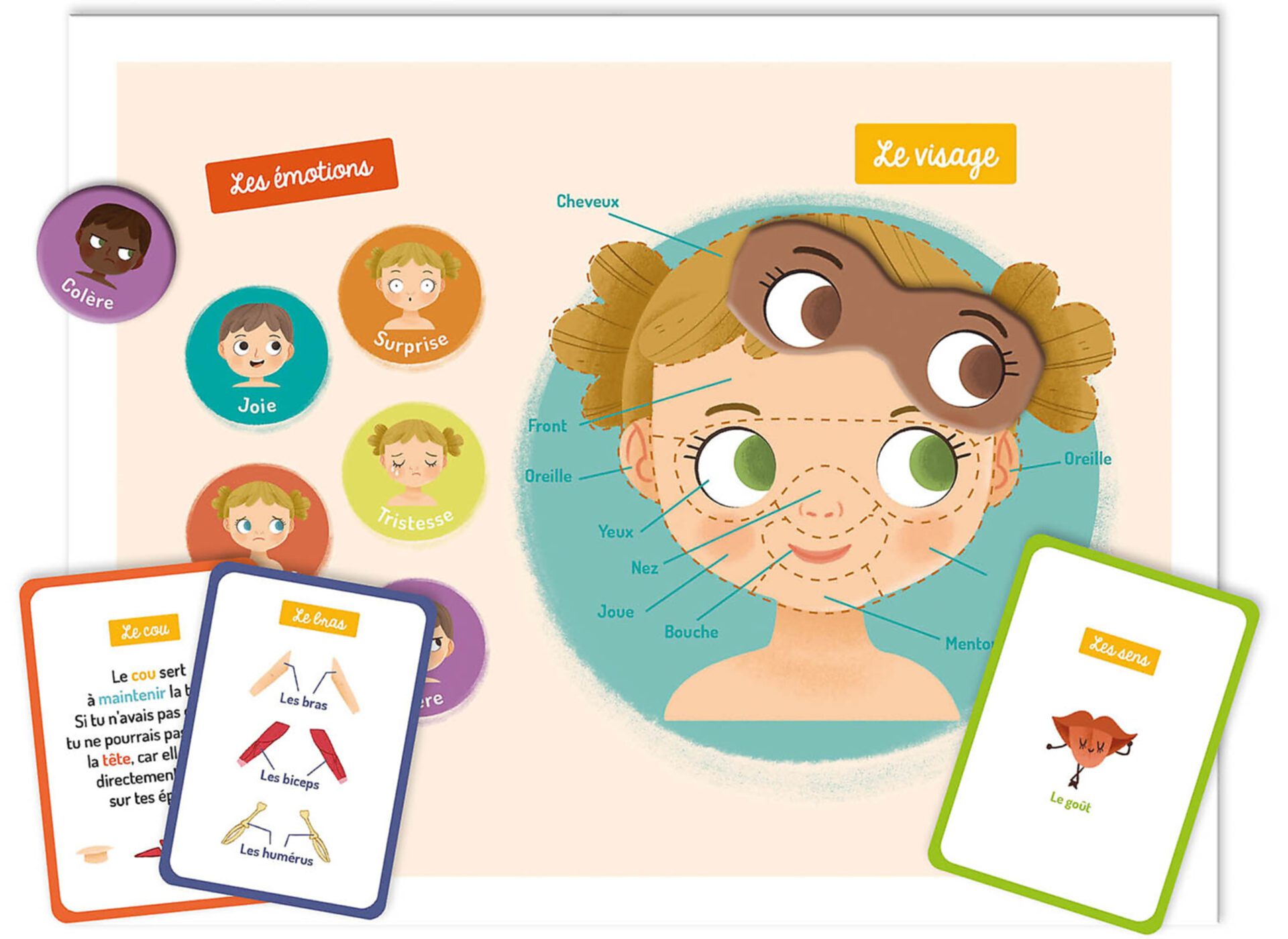 Mon Petit Coffret Aimanté - Le Corps Humain