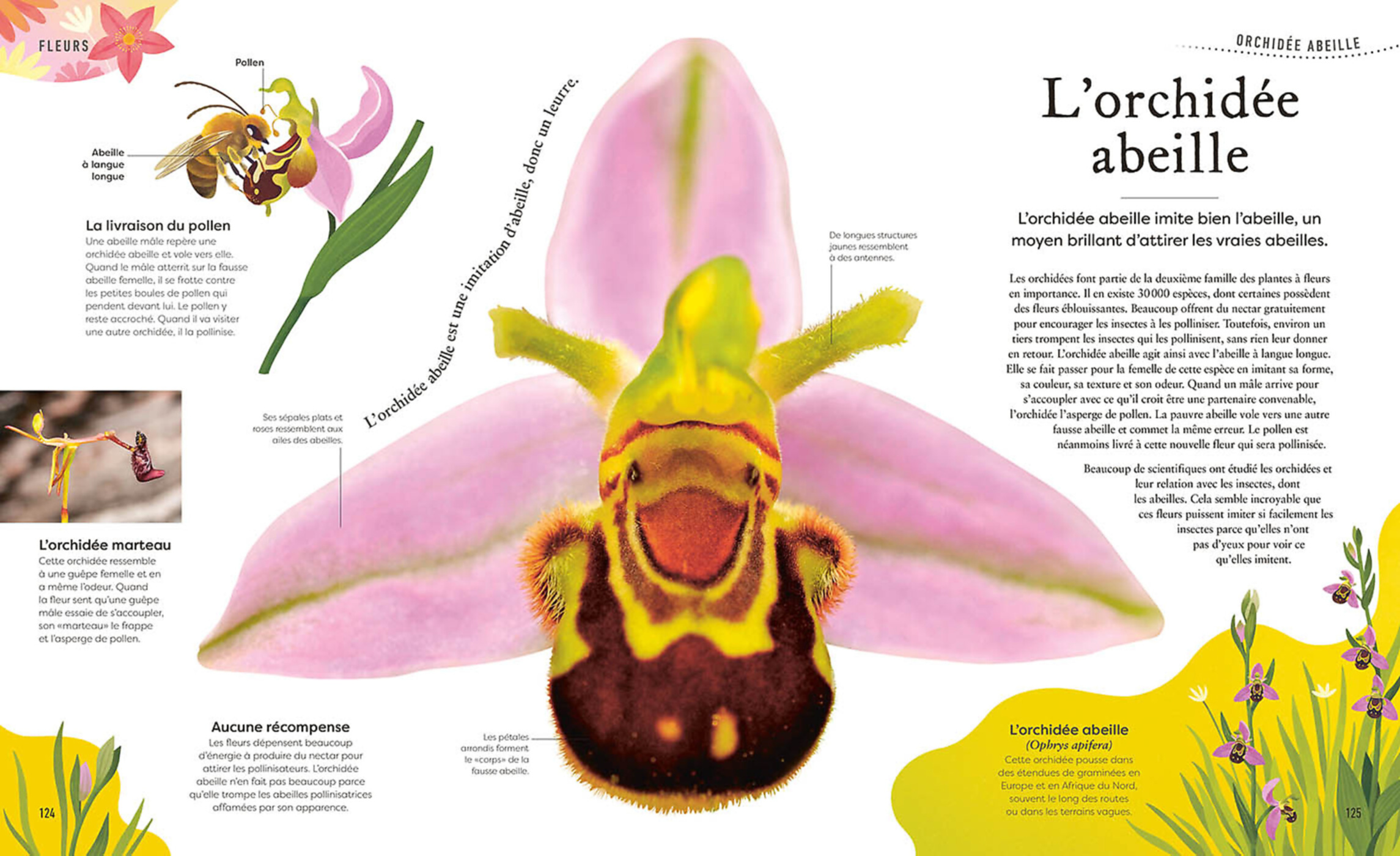 L'anthologie Insolite Des Plantes