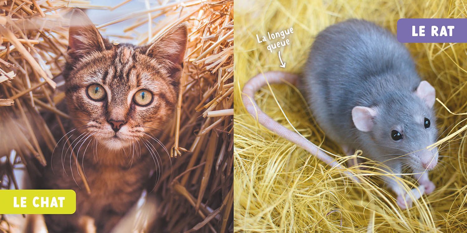 Mon Premier Doc Photo  - Les Animaux De La Ferme