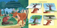 Petit Ludoc' - Soulève Les Flaps : Les Animaux De La Forêt