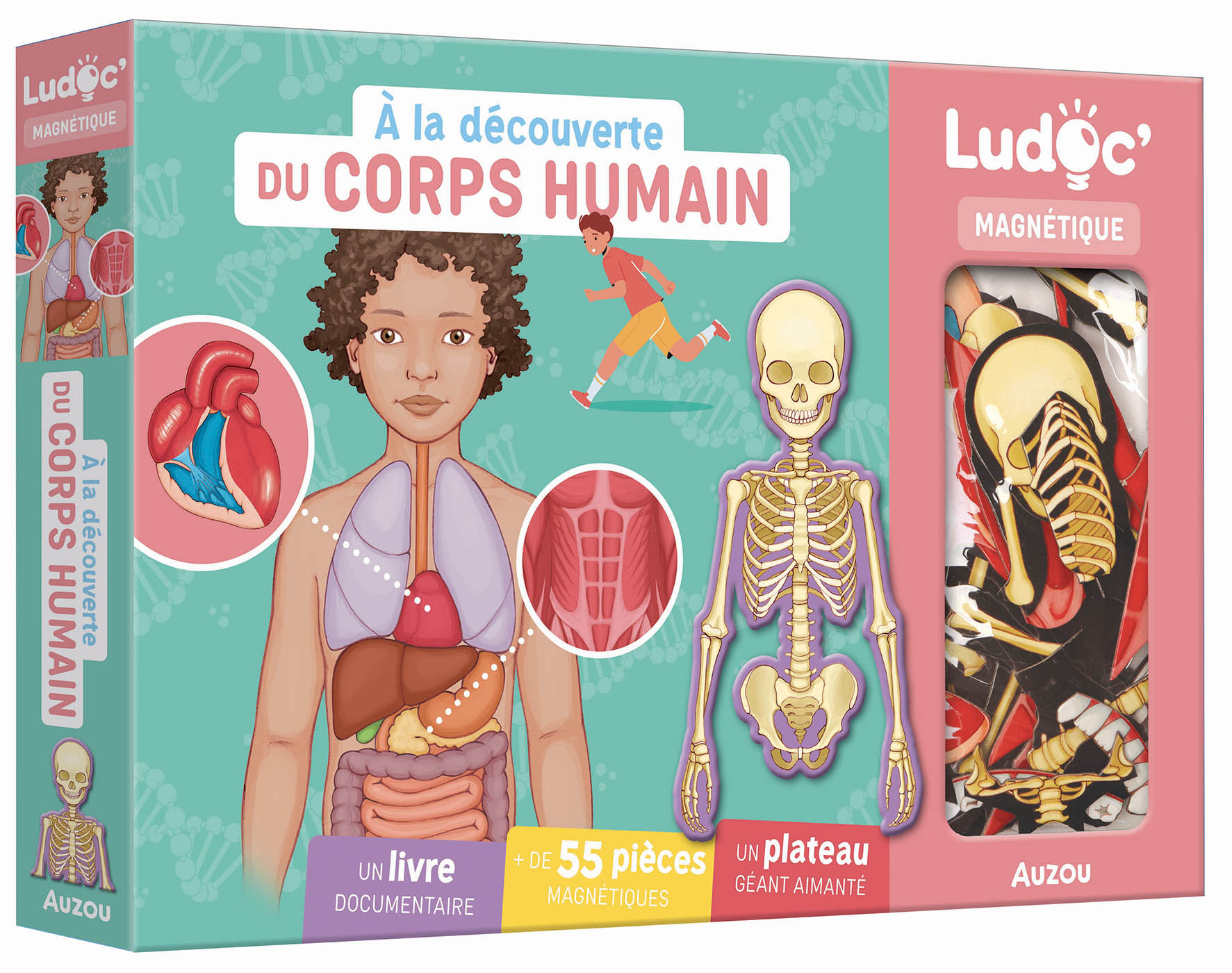 A La Découverte Du Corps Humain
