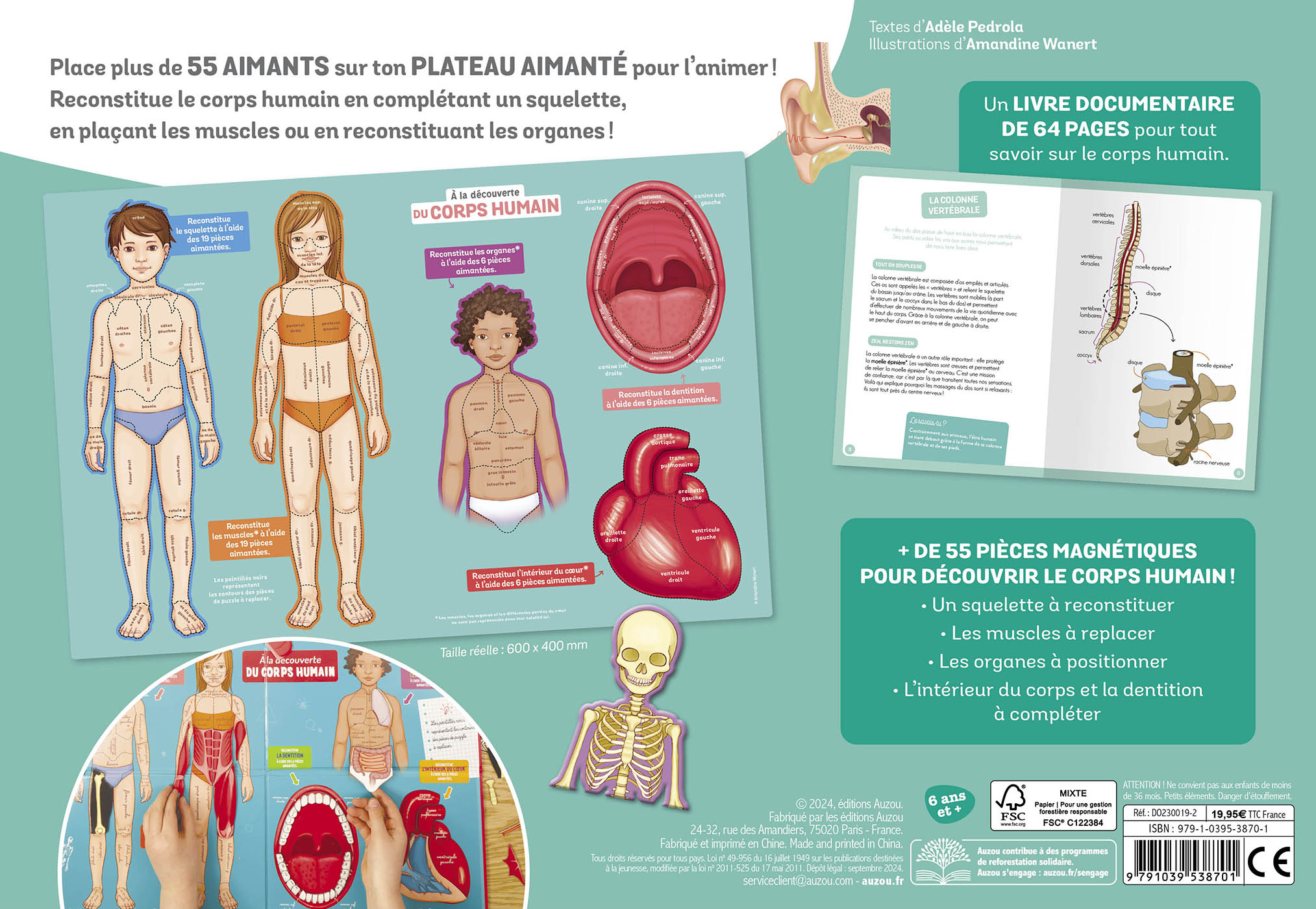 A La Découverte Du Corps Humain
