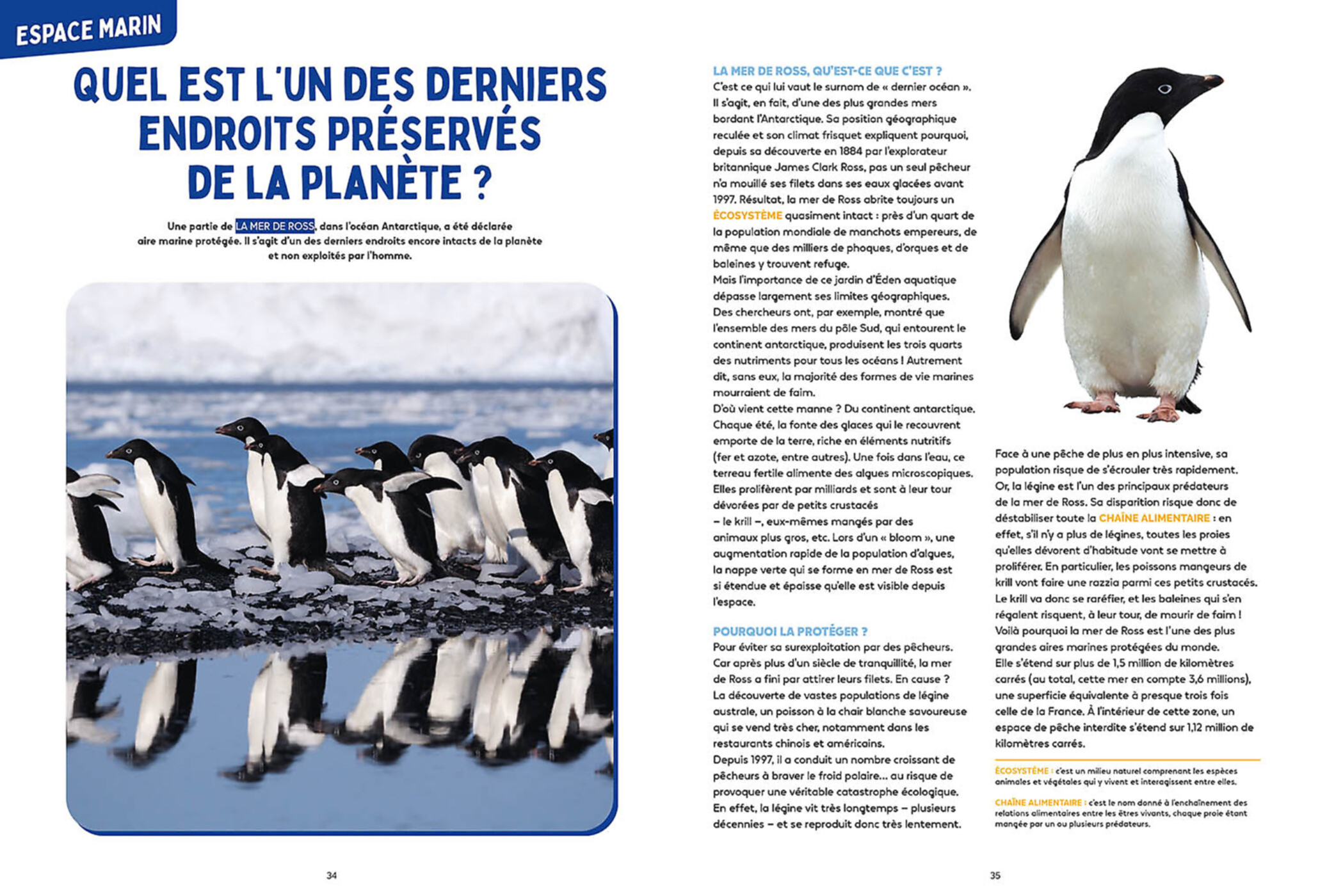 Les Mystères De L'océan - Science & Vie Junior