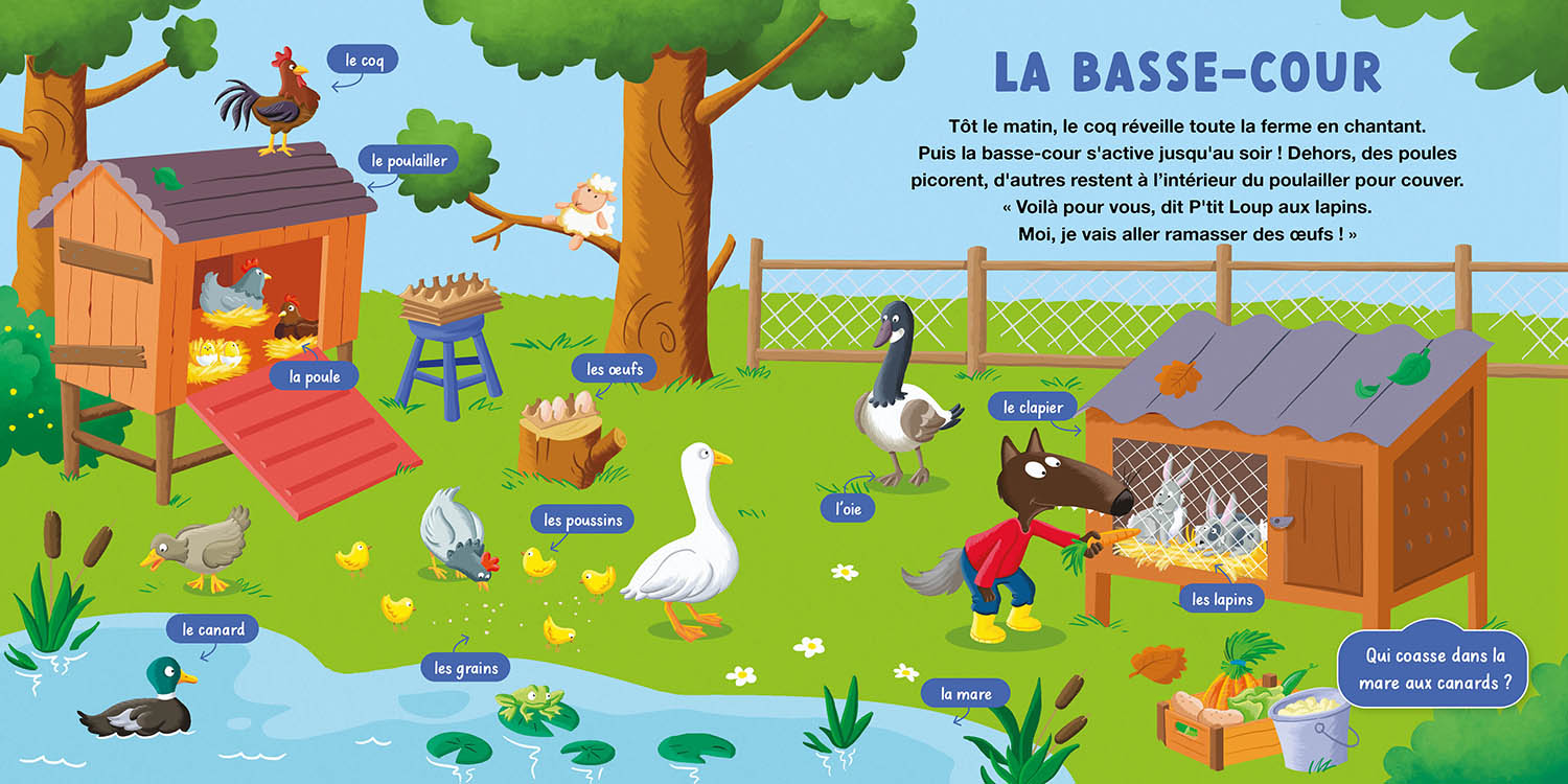 Mon Doc P'tit Loup - La Ferme