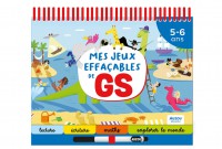 Mes jeux effaçables de gs