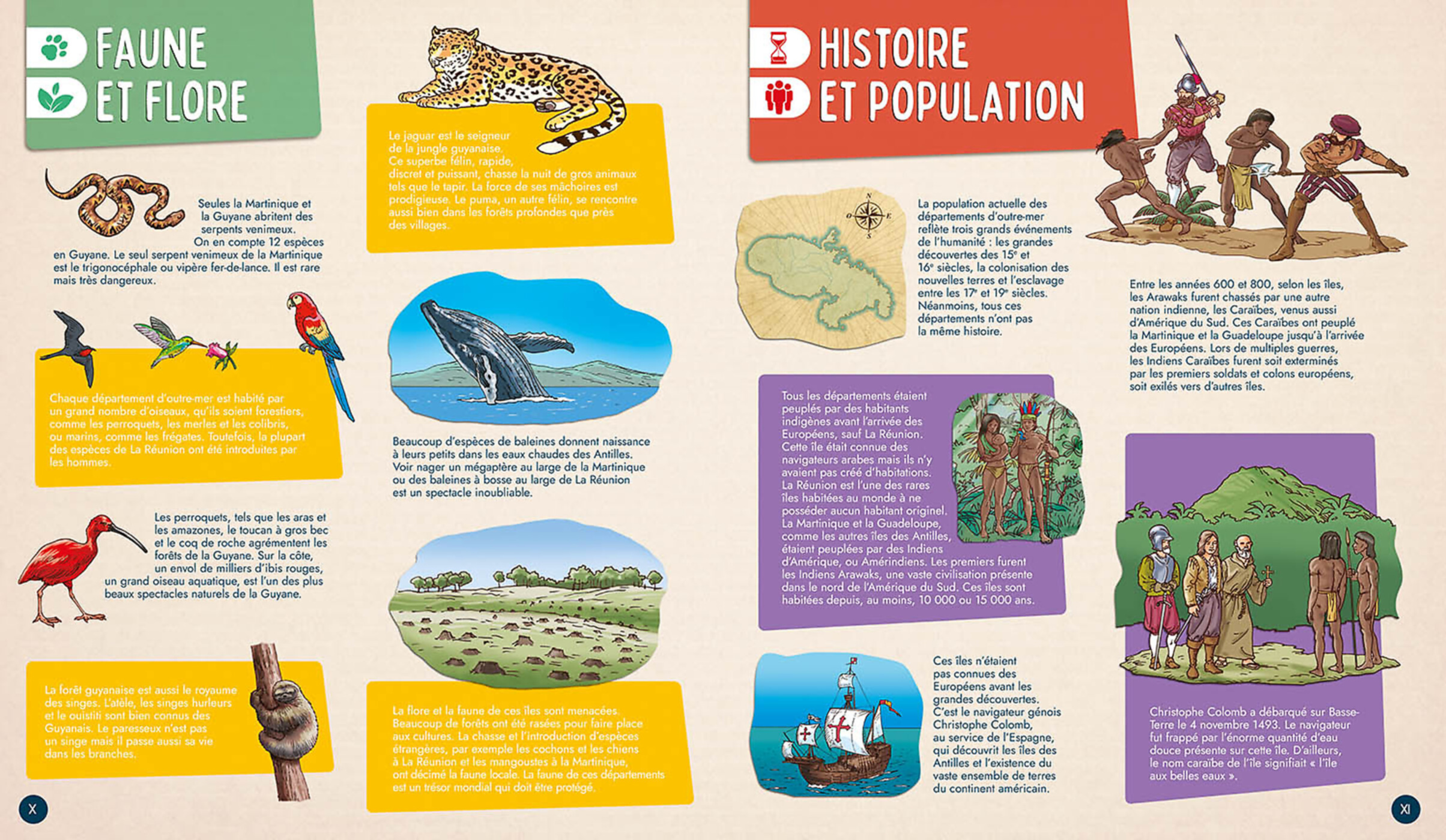 Mon Premier Atlas - Spécial Dom