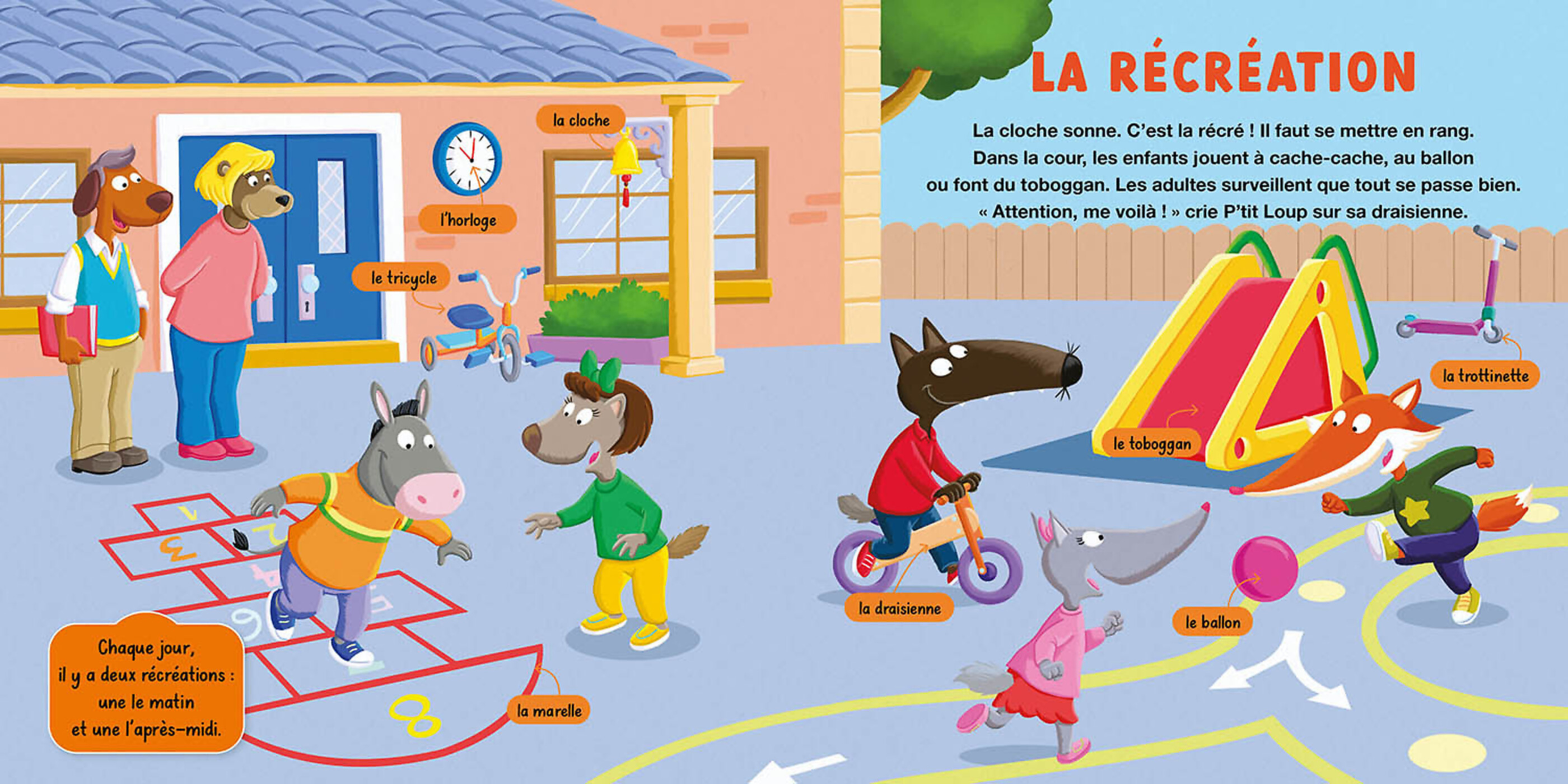 Mon Doc P'tit Loup - L'école