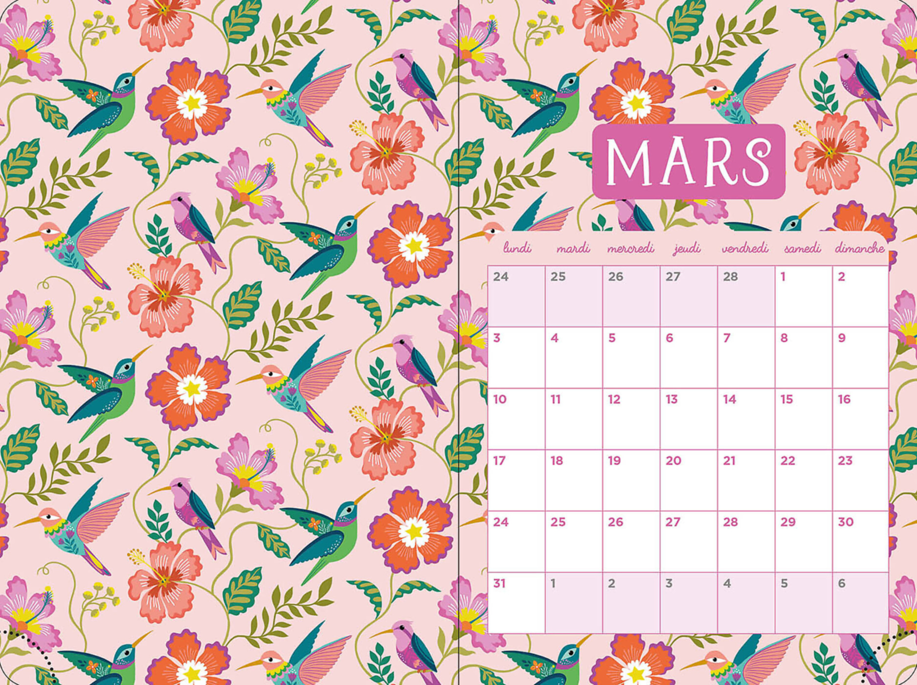 Agenda 2024-2025 - Fluo