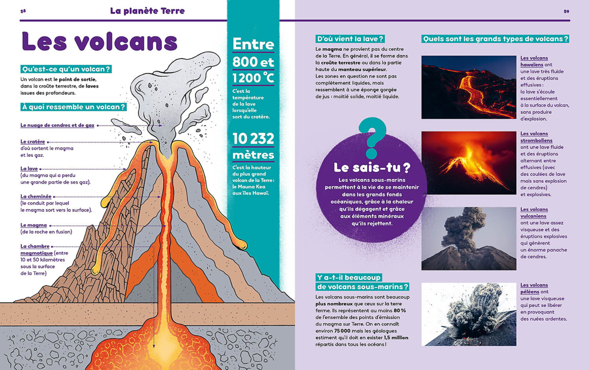 1001 Pourquoi Comment - Science & Vie Junior