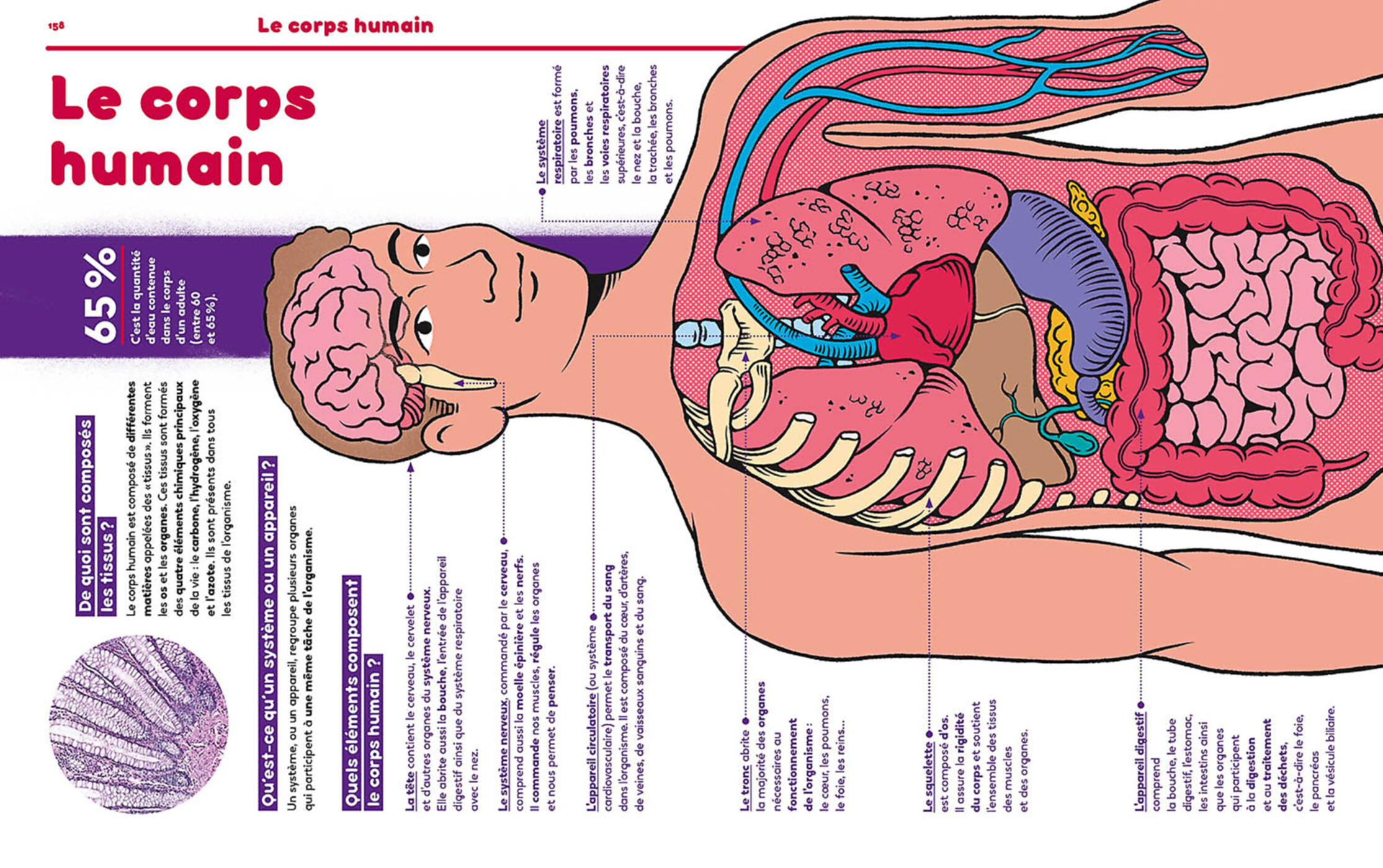 1001 Pourquoi Comment - Science & Vie Junior